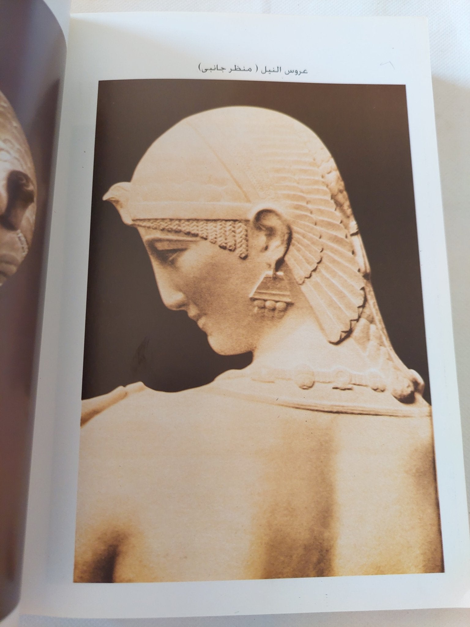 المثال مختار / بدر الدين أبو غازى - ملحق بالصور - متجر كتب مصر - متجر كتب مصر