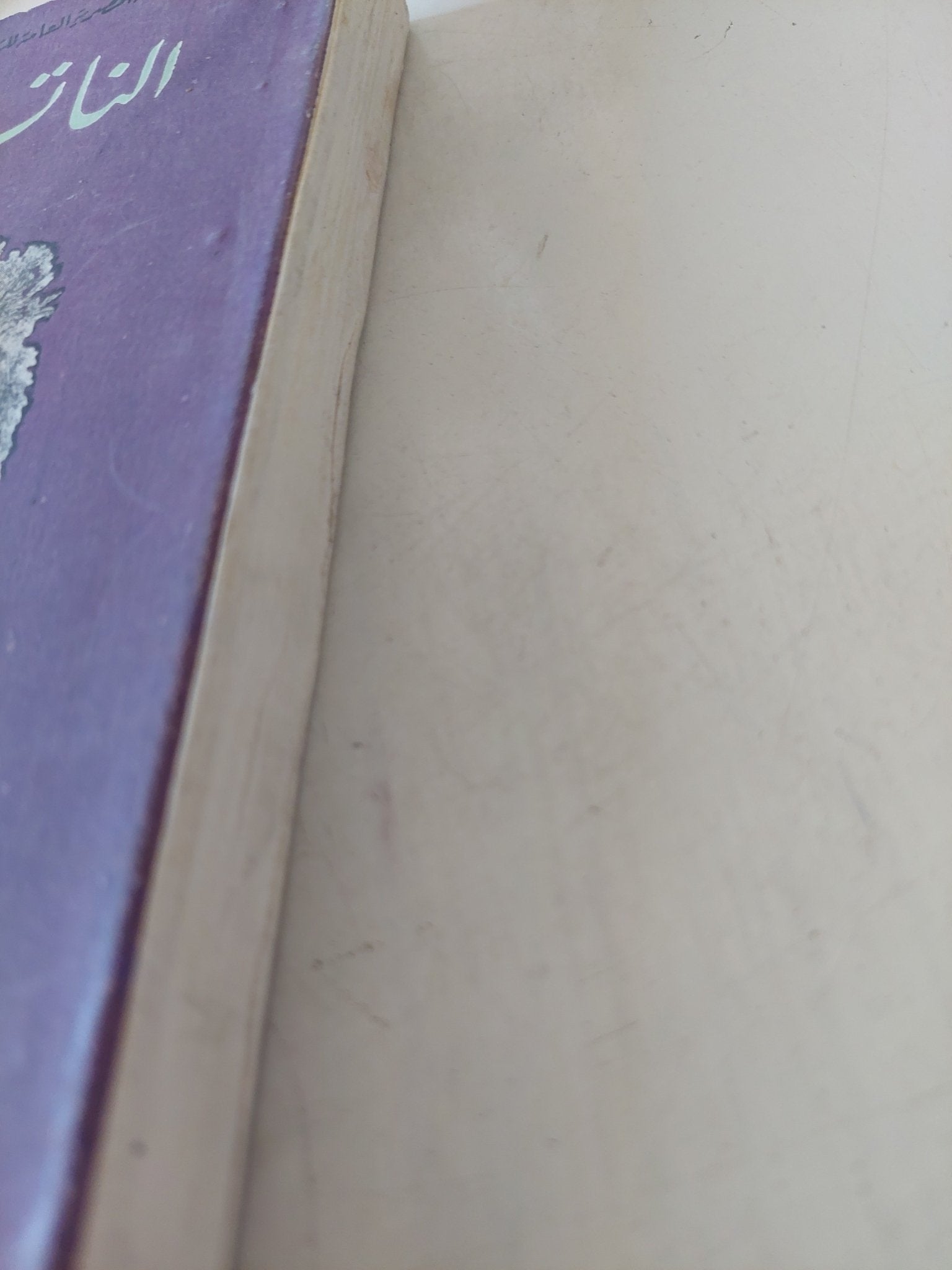 الناتشز / فرانسوارى شاتوريان - متجر كتب مصر - المكتبة الفلسفية