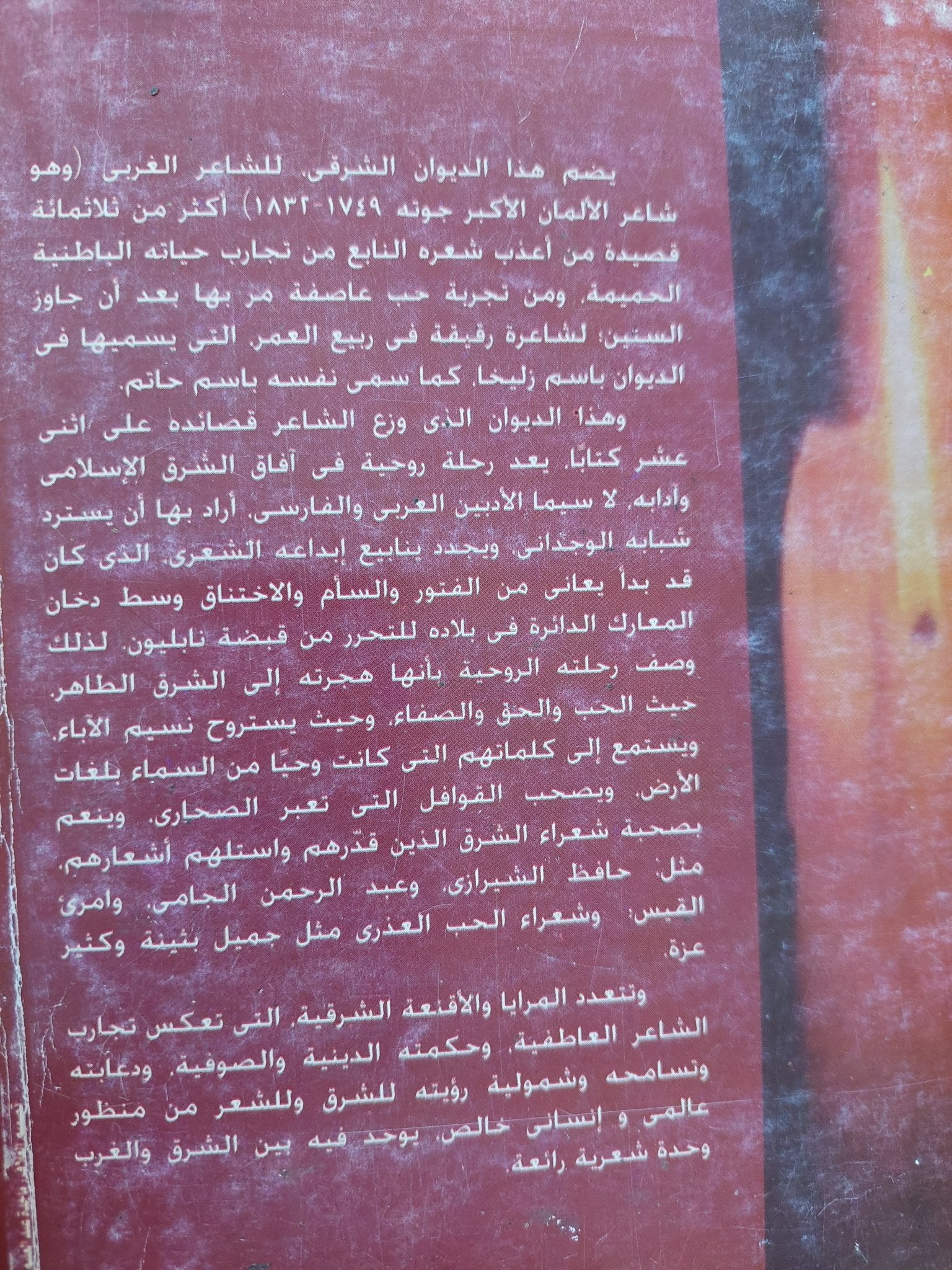 النور والفراشة .. رؤية جوته للإسلام والأدبين العربى والفارسى - متجر كتب مصر - المكتبة الفلسفية