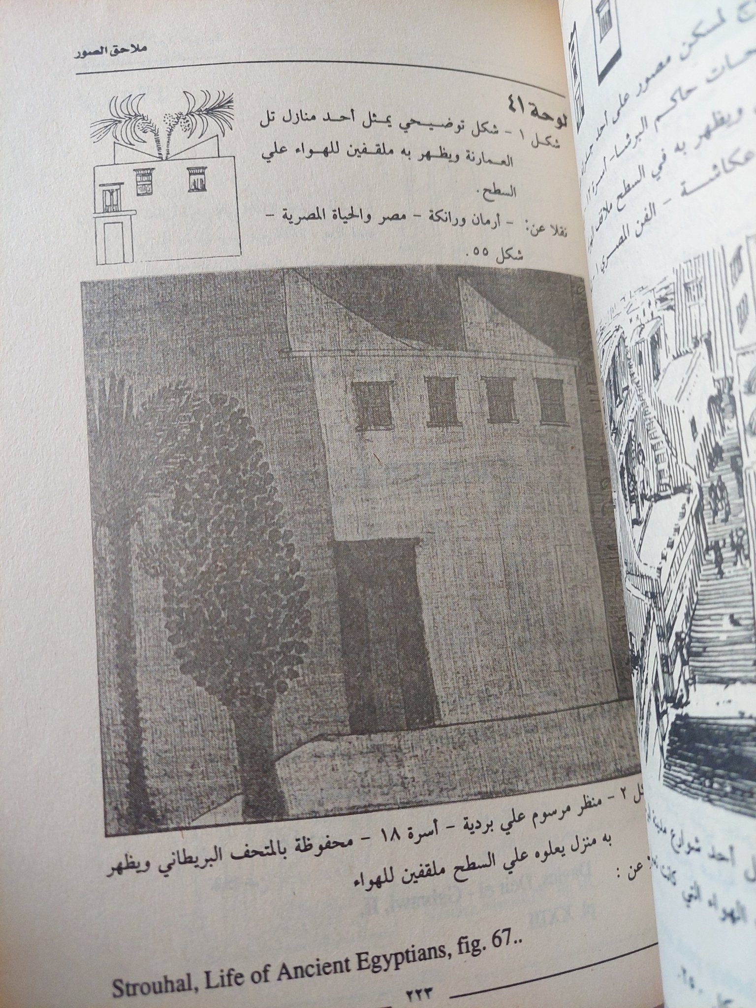 النظافة فى الحياة اليومية عند المصريين القدماء / إيمان أحمد أبو بكر - ملحق بالصور - متجر كتب مصر - متجر كتب مصر
