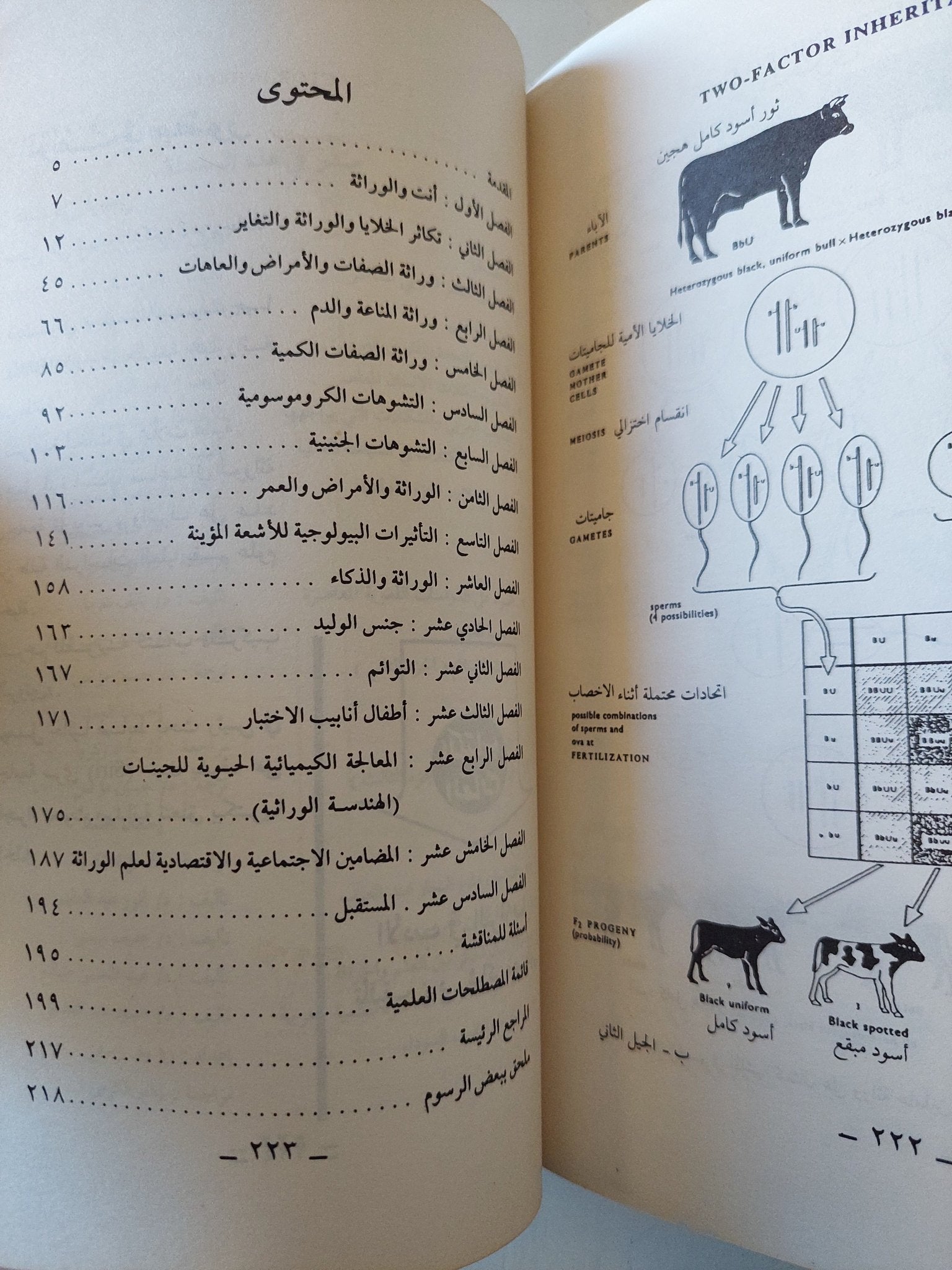 الوراثة والإنسان / محمد الربيعى - متجر كتب مصر - متجر كتب مصر