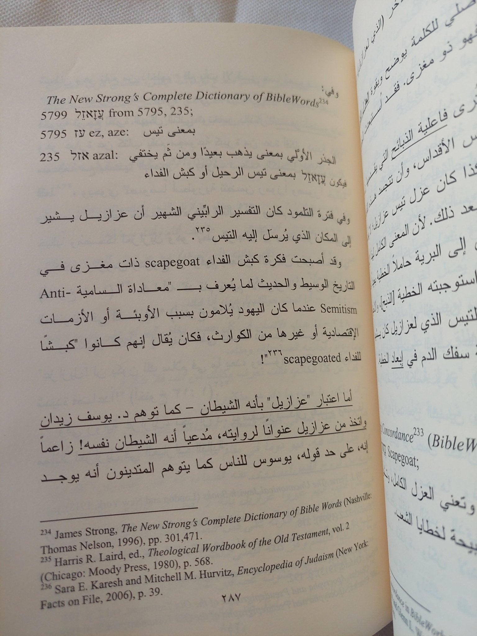 الرد على البهتان فى رواية يوسف زيدان / الأنبا بيشوى - ملحق بالصور - متجر كتب مصر - المكتبة الفلسفية