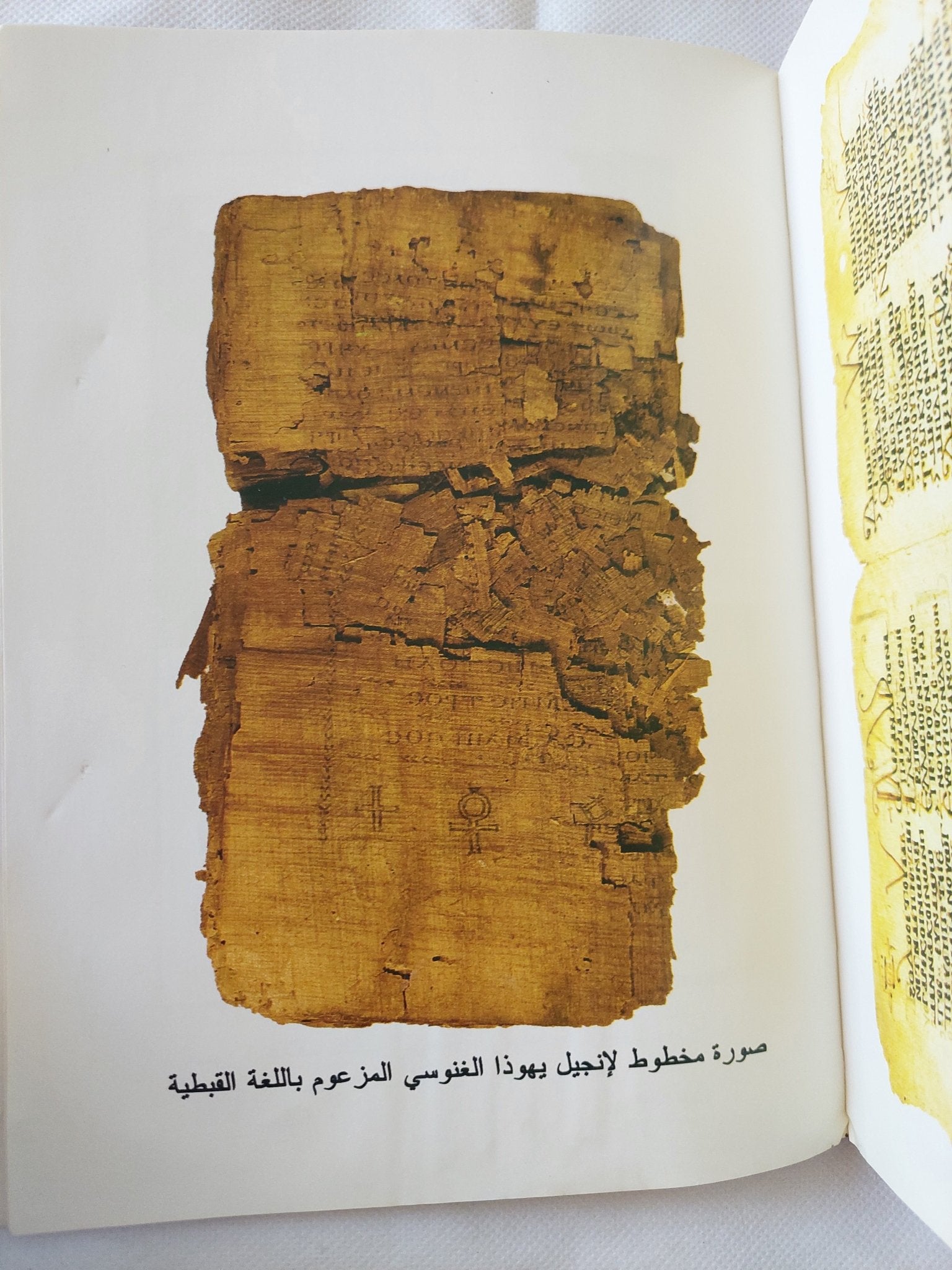 الرد على البهتان فى رواية يوسف زيدان / الأنبا بيشوى - ملحق بالصور - متجر كتب مصر - المكتبة الفلسفية