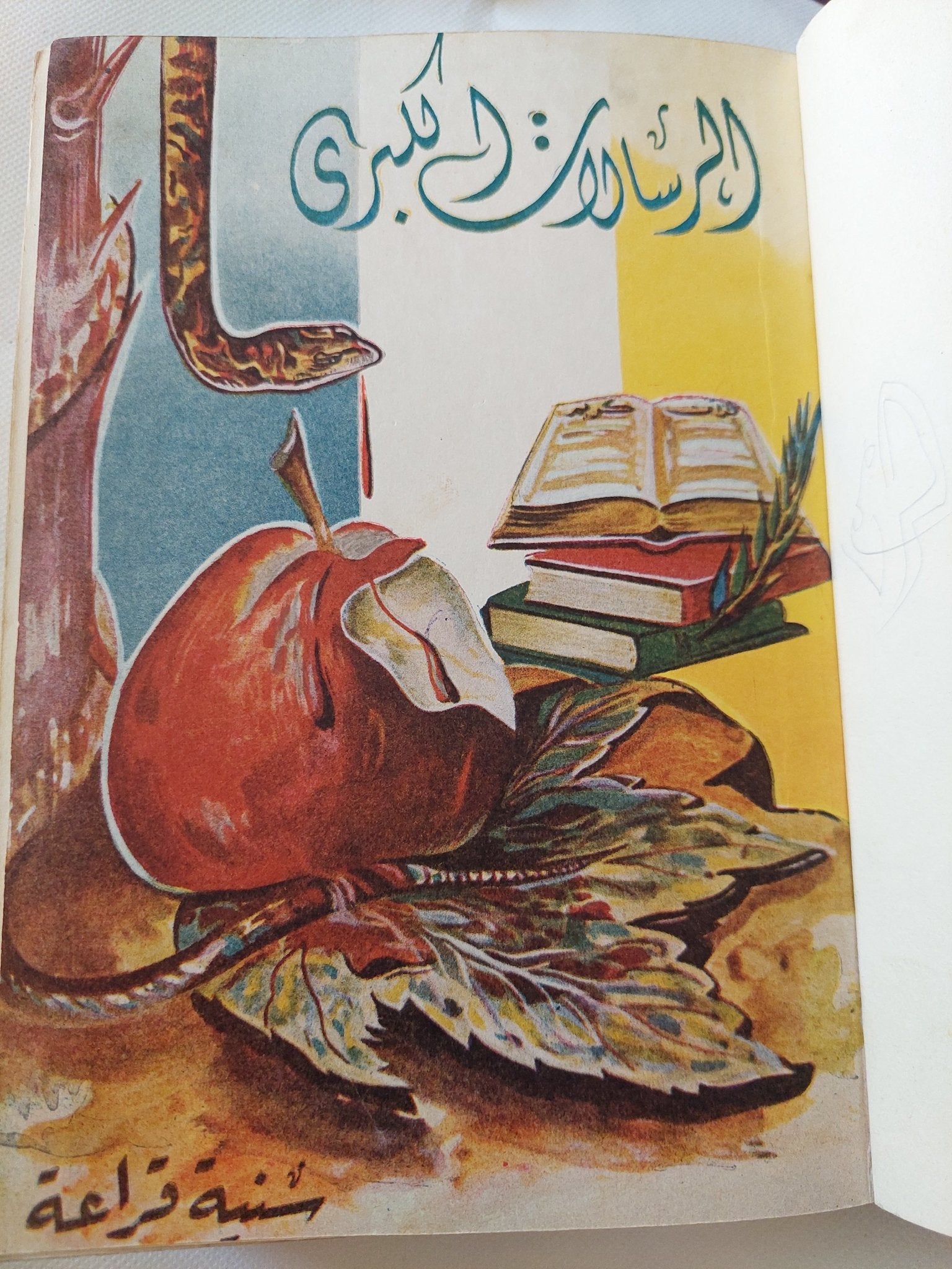 الرسالات الكبرى / سنية قراعة - هارد كفر - متجر كتب مصر - المكتبة الفلسفية