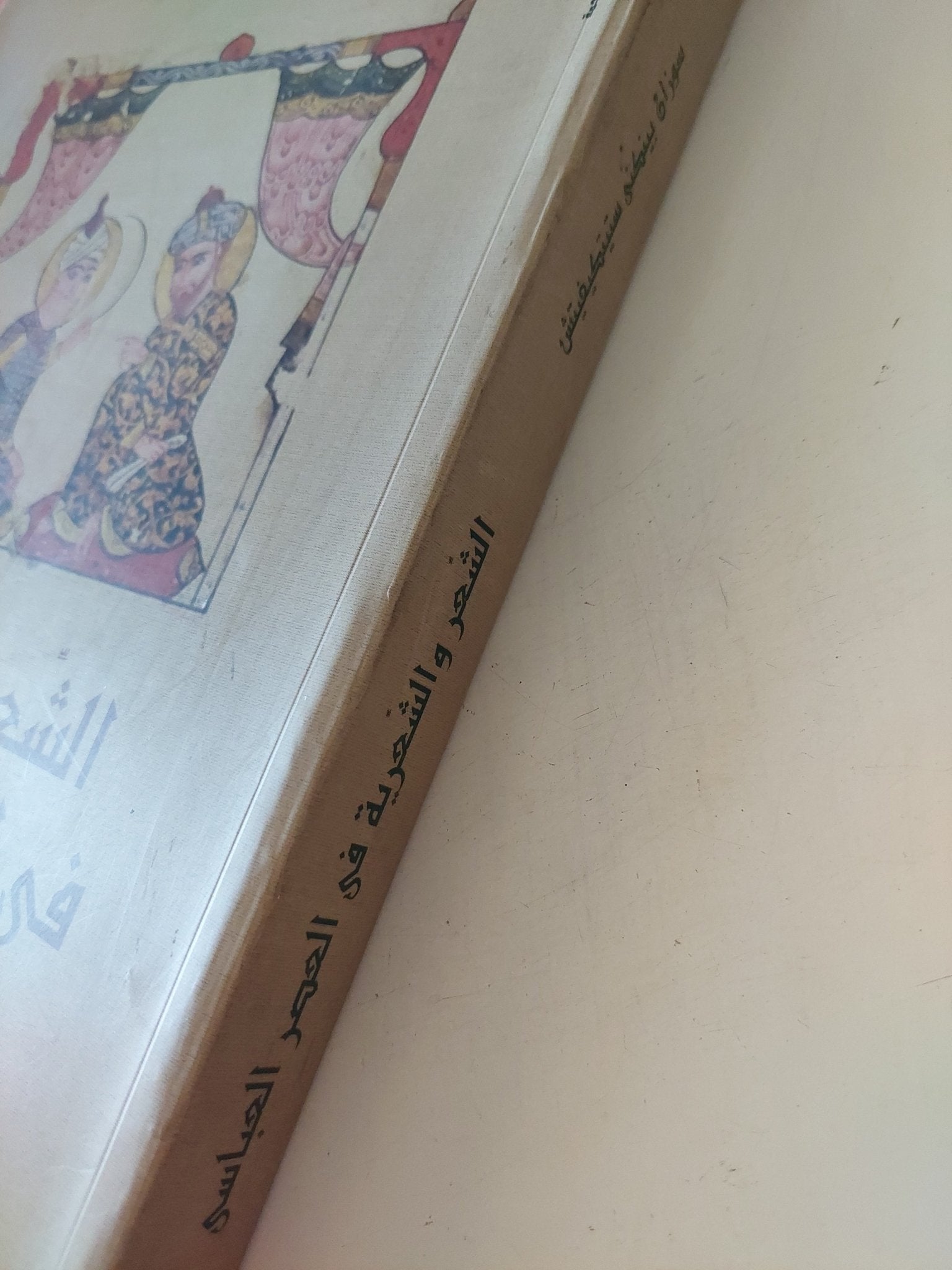 الشعر والشعرية فى العصر العباسى / سوزان بينكنى ستبتكيفيتش - قطع كبير - متجر كتب مصر - المكتبة الفلسفية