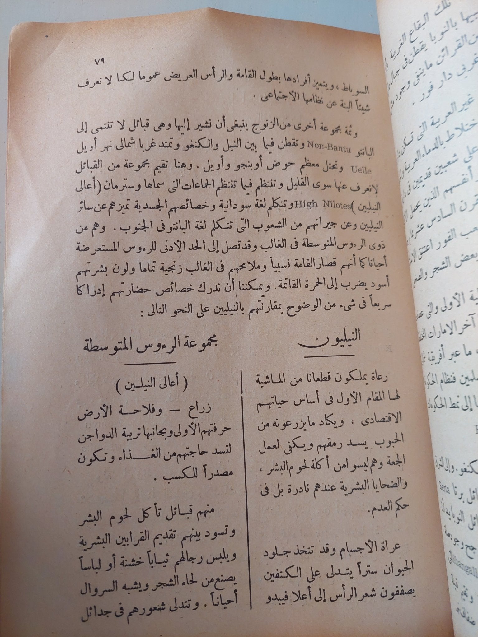 السلالات البشرية فى أفريقيا - س. ج. سليجمان - متجر كتب مصر - متجر كتب مصر