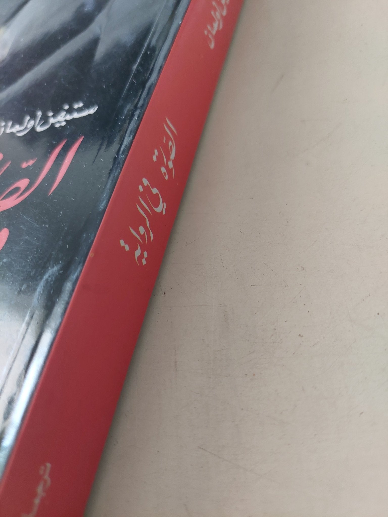 الصورة فى الرواية / ستيفن أولمان - متجر كتب مصرمتجر كتب مصر