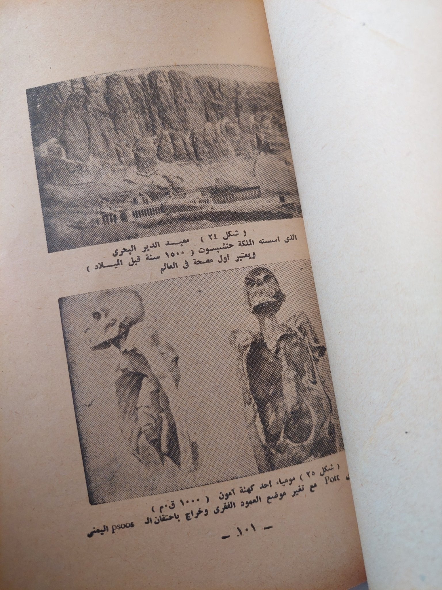 الطب المصرى القديم / نجيب رياض - ملحق بالصور - متجر كتب مصر - متجر كتب مصر