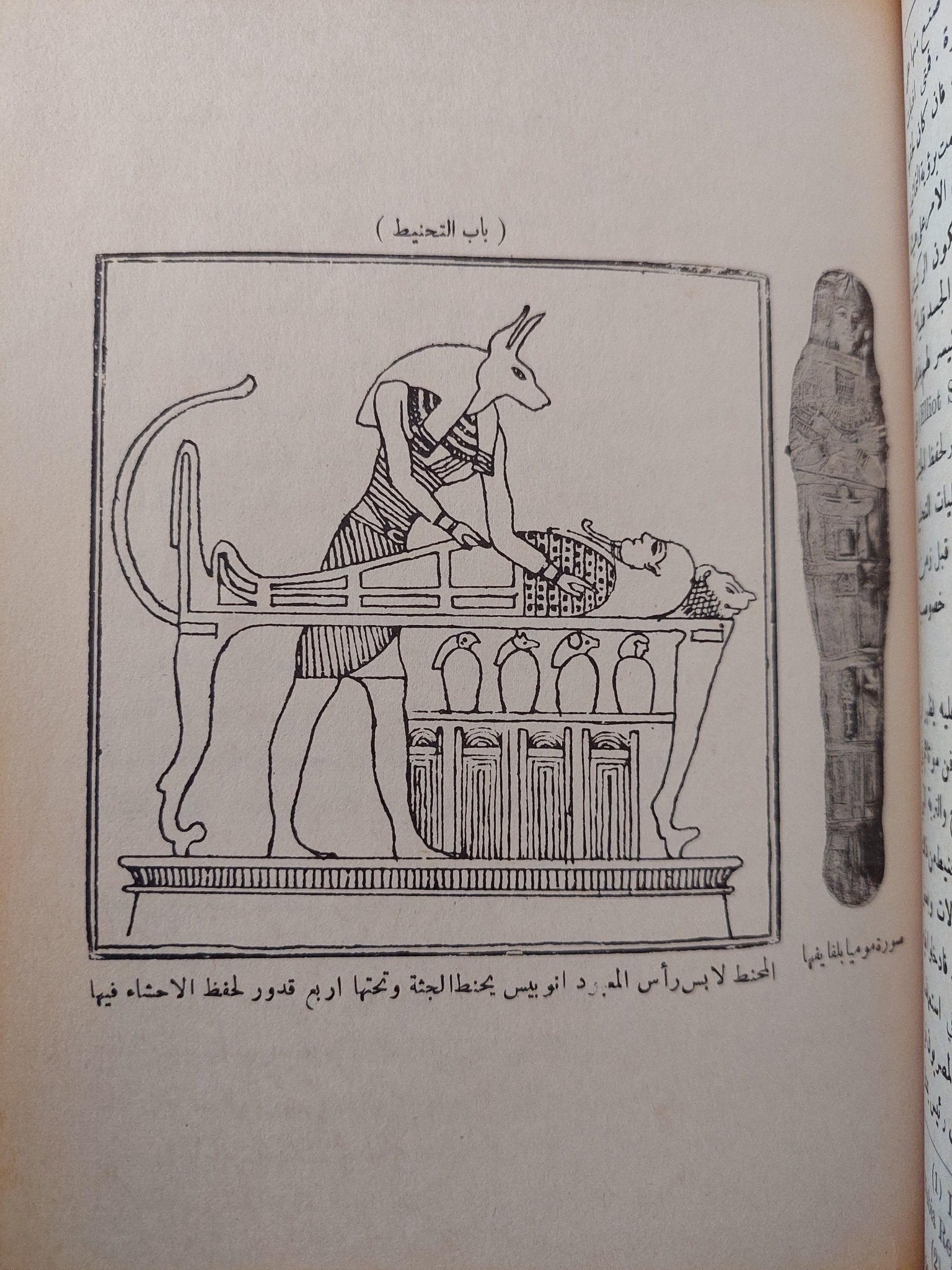 الطب المصري القديم / د. حسن كمال( ملحق بالصور ) - متجر كتب مصر - متجر كتب مصر