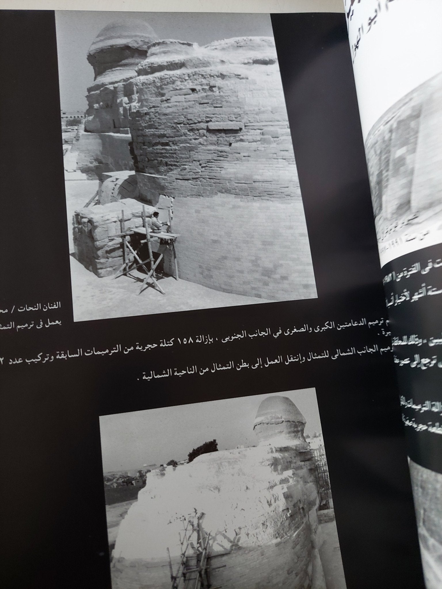 الثقافة ضوء يسطع على وجه الوطن - قطع كبير - متجر كتب مصر - متجر كتب مصر