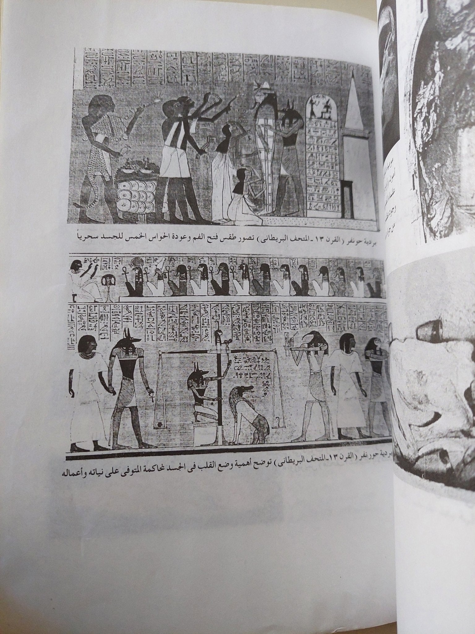 التحنيط فلسفة الخلود فى مصر القديمة / أحمد صالح - متجر كتب مصر - متجر كتب مصر