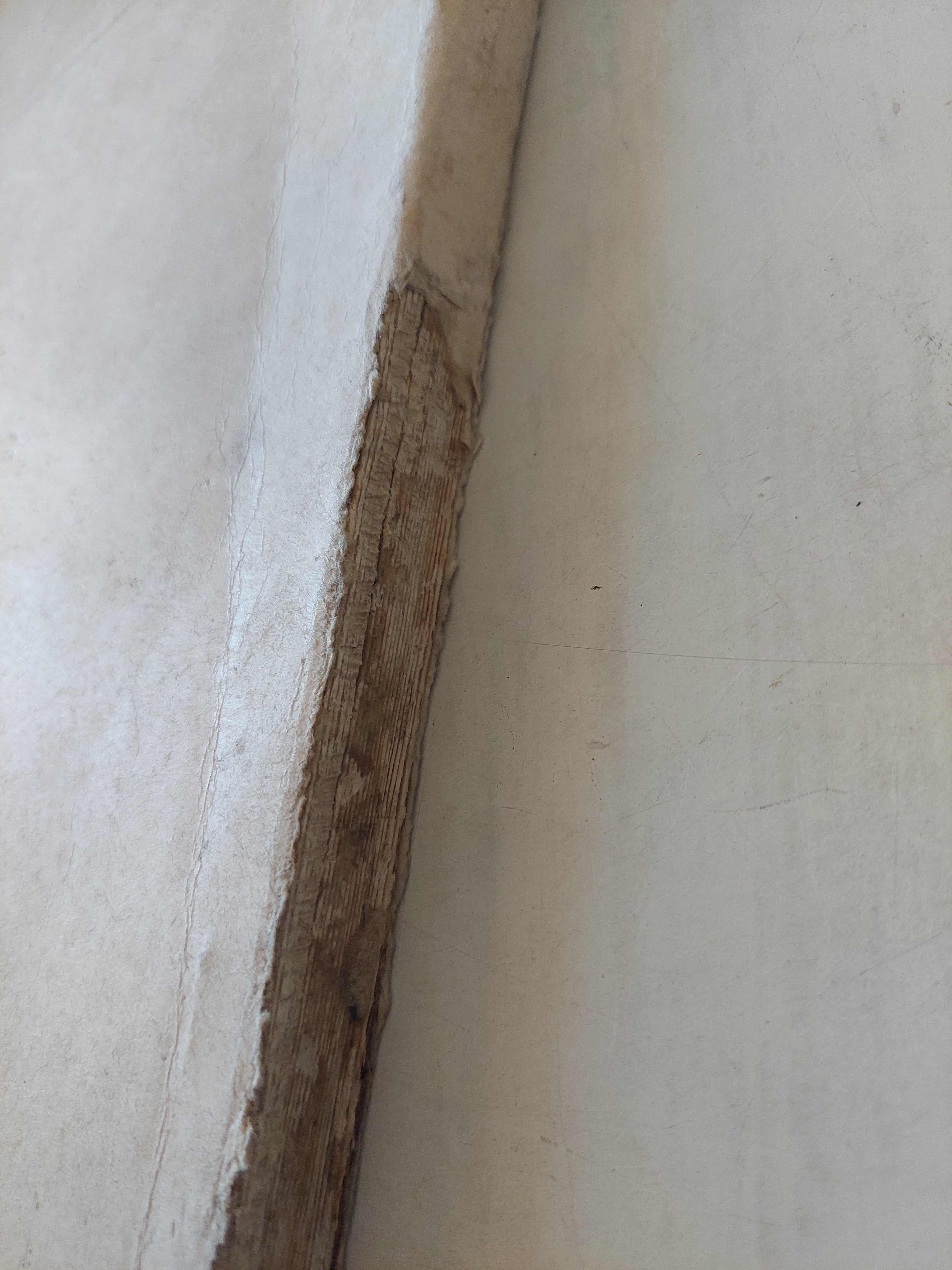 الثورة الروسية / الان مورهيد - متجر كتب مصر - متجر كتب مصر