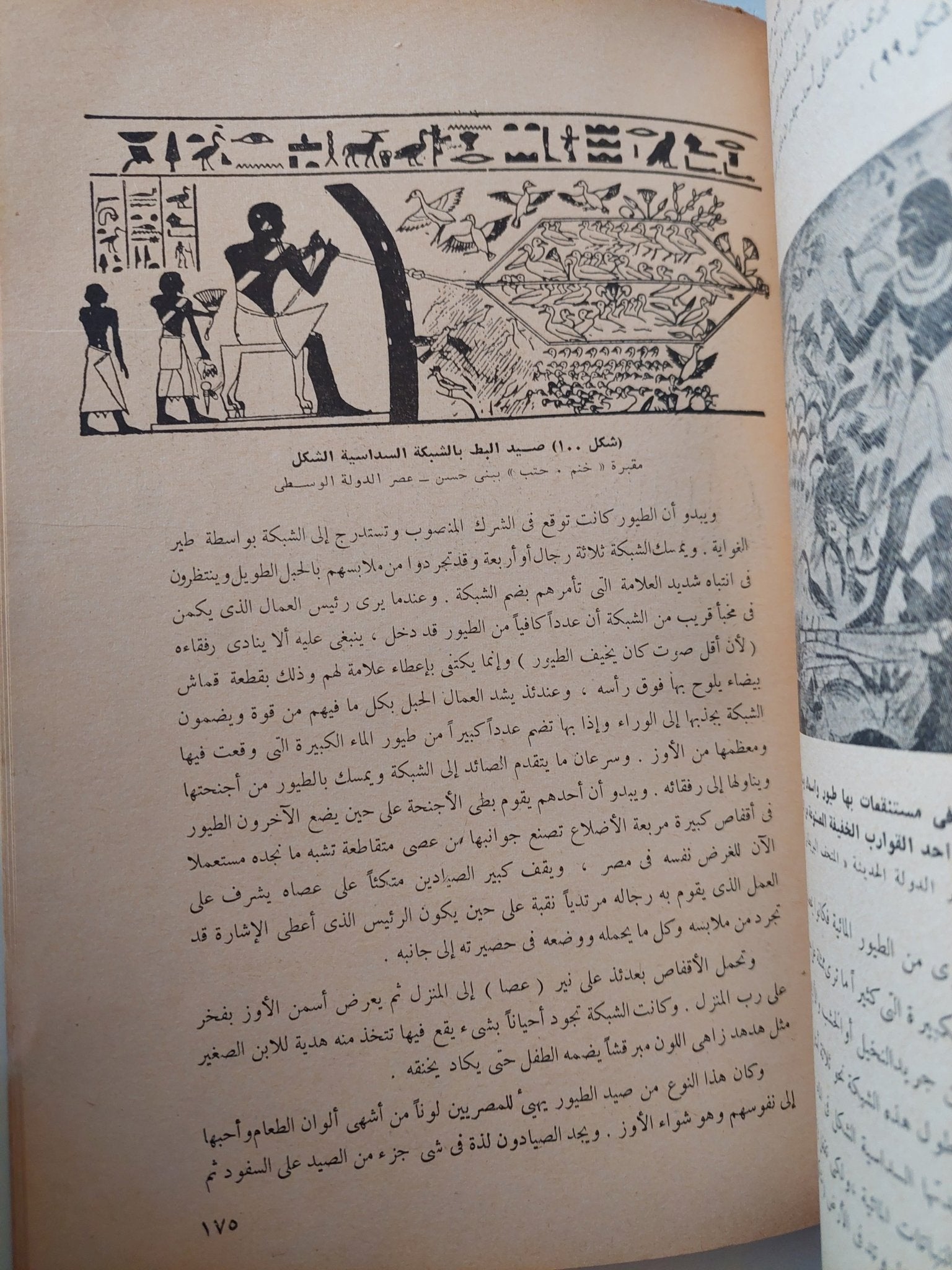 الثروة الحيوانية عند قدماء المصريين / وليم نظير - متجر كتب مصر - متجر كتب مصر