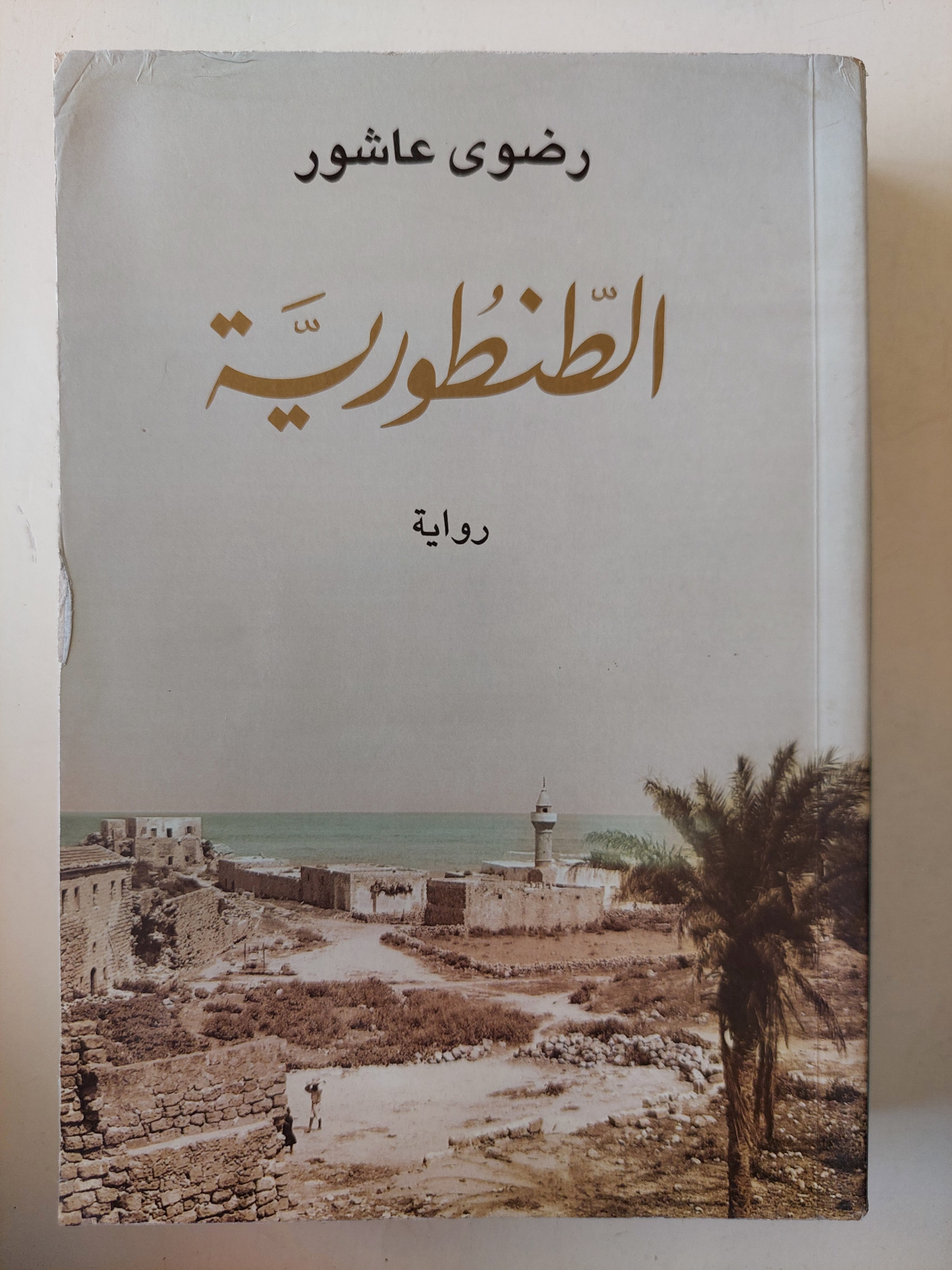 الطنطورية / رضوى عاشور - متجر كتب مصر - متجر كتب مصر