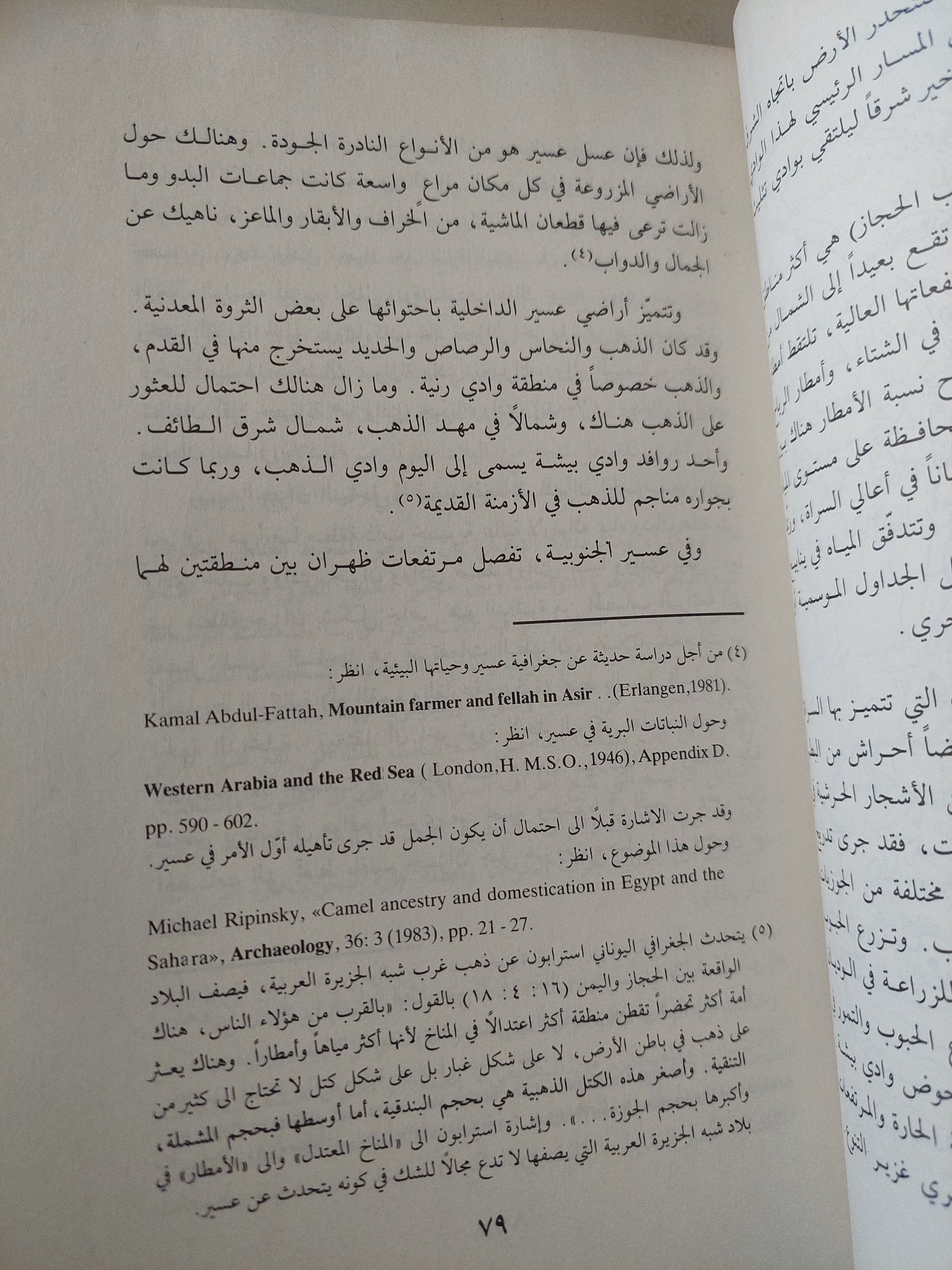 التوراه جاءت من جزيرة العرب / كمال الصليبى - متجر كتب مصر - متجر كتب مصر