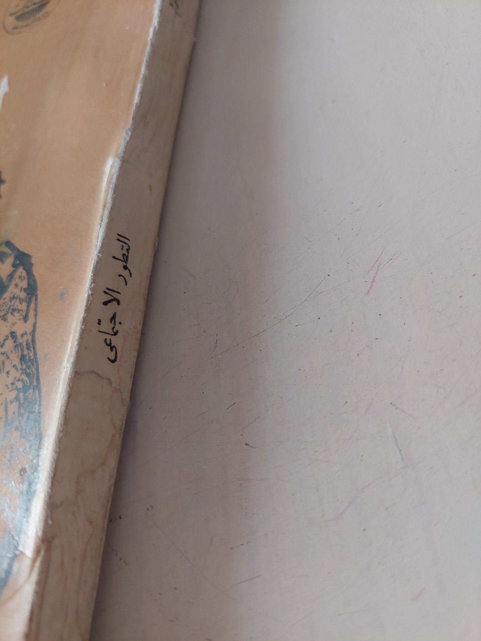 التطور الإجتماعى / جوردون تشايلد - متجر كتب مصر - متجر كتب مصر