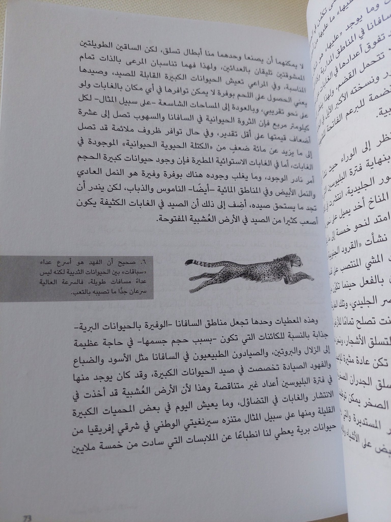 التطور / جوزيف ريكولف - ملحق بالصور - متجر كتب مصر - المكتبة الفلسفية
