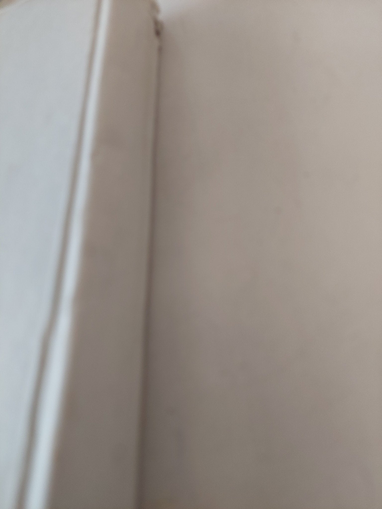 التطورات الأخيرة فى قضية فلسطين / خيري حماد - هارد كفر - متجر كتب مصر - متجر كتب مصر