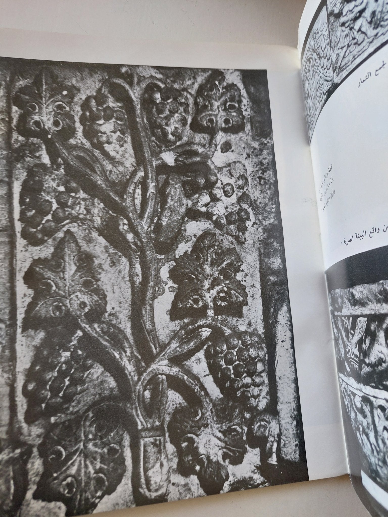 أمجاد الفراعنة / محمود ماهر طه - قطع كبير ملحق بالصور - متجر كتب مصر - متجر كتب مصر