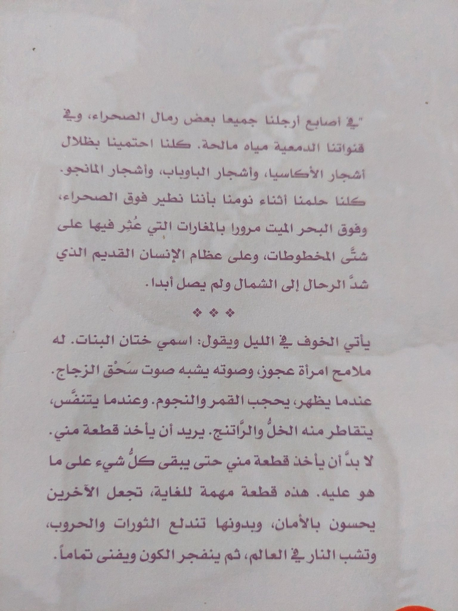 أرباب الشرفة / أنيا سنيلمان - متجر كتب مصر - المكتبة الفلسفية