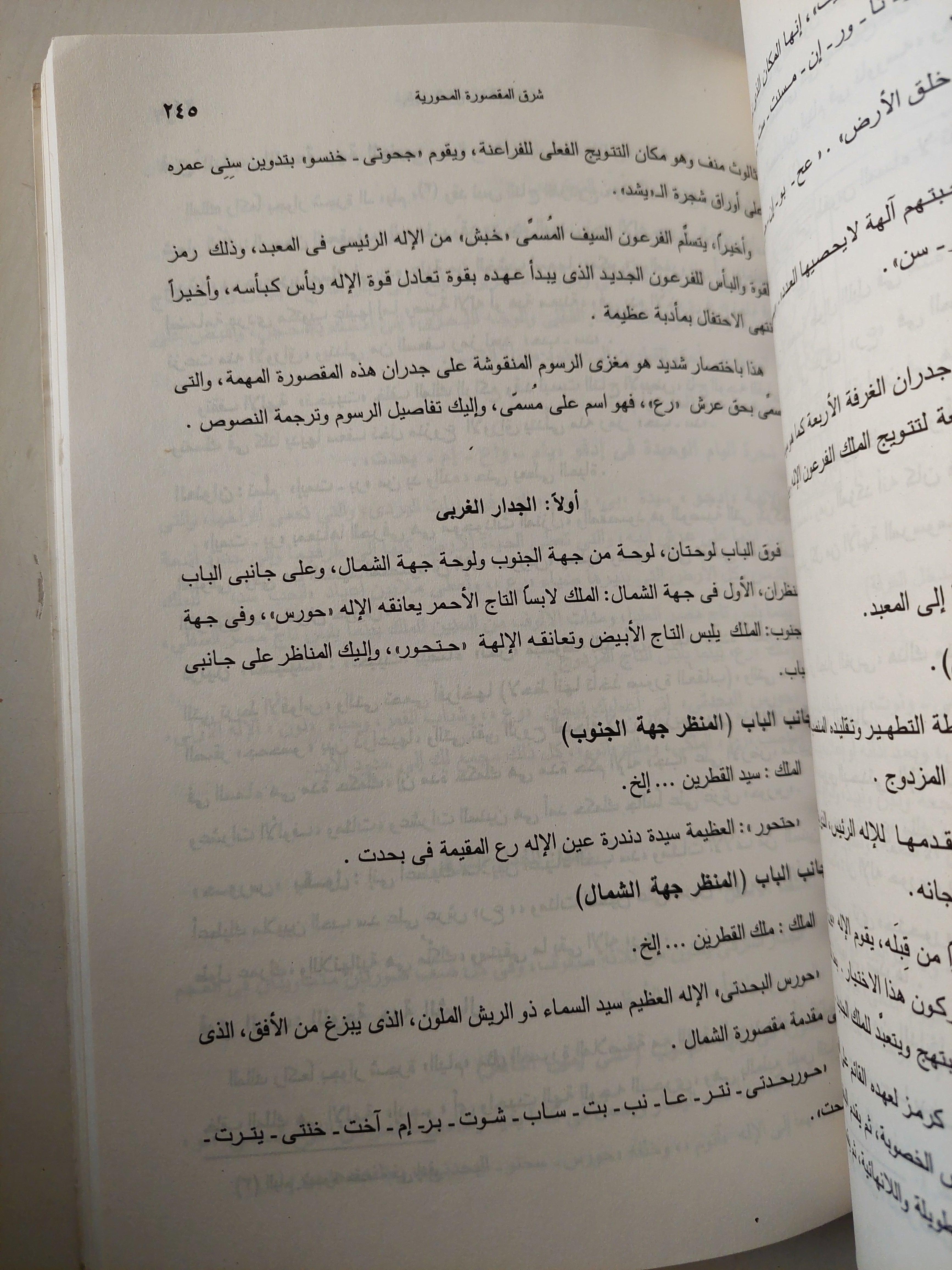 أساطير معبد أدفو : شرح وترجمة للمتون والطقوس من المصرية القديمة إلي العربية - متجر كتب مصر - متجر كتب مصر