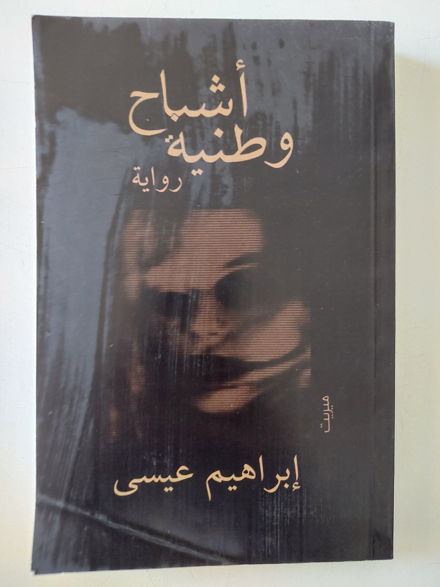 أشباح وطنية / إبراهيم عيسى - متجر كتب مصر - المكتبة الفلسفية