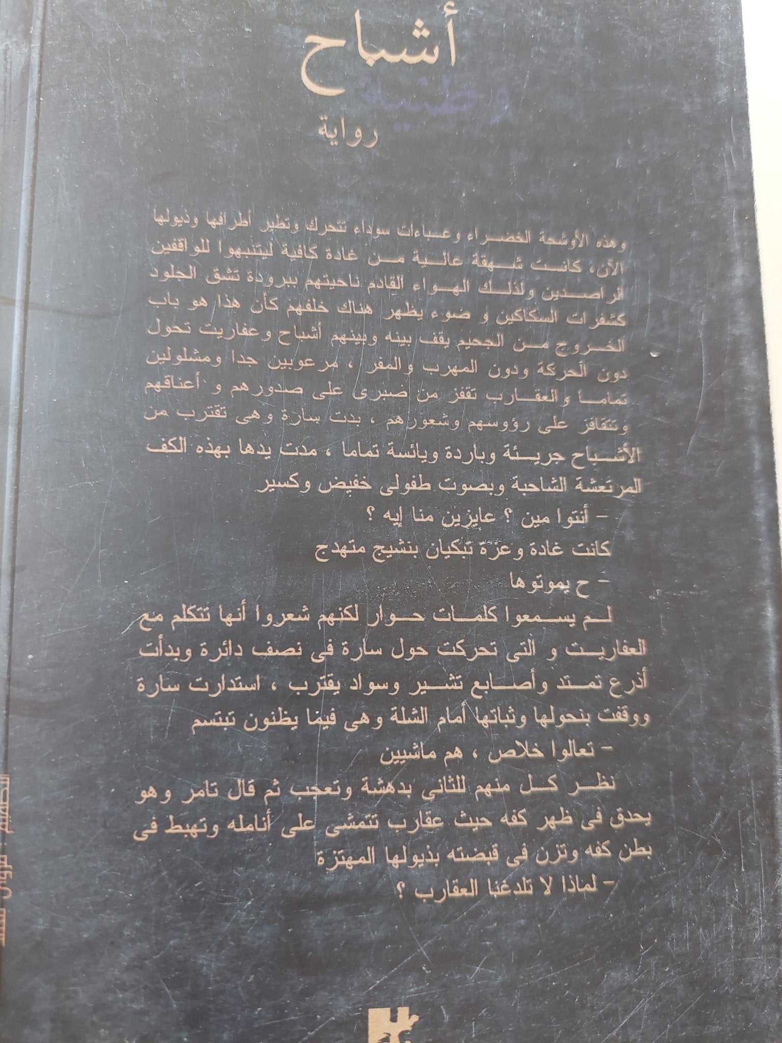 أشباح وطنية / إبراهيم عيسى - متجر كتب مصر - المكتبة الفلسفية