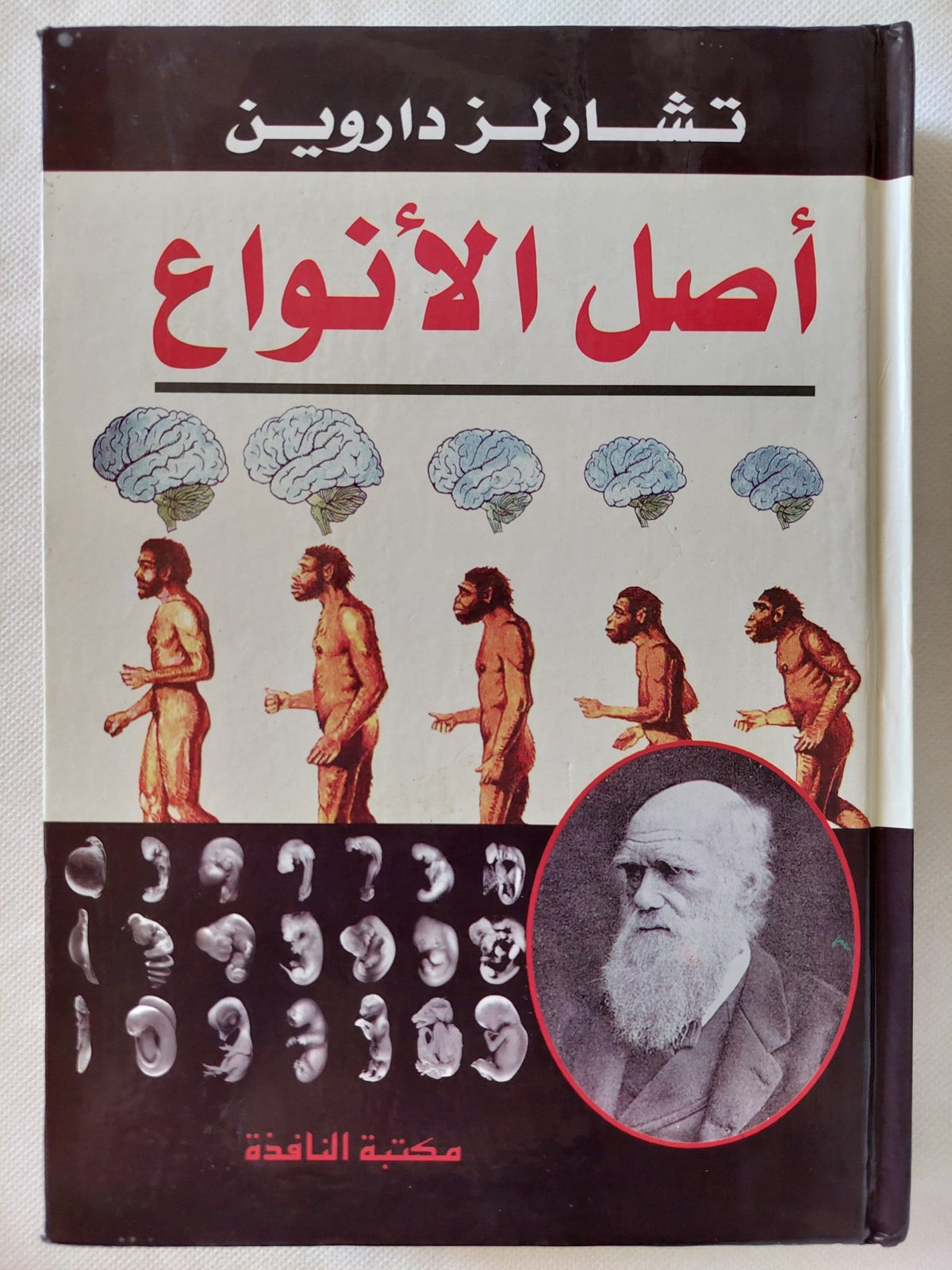 أصل الأنواع / تشارلز داروين - هارد كفر - متجر كتب مصر - المكتبة الفلسفية