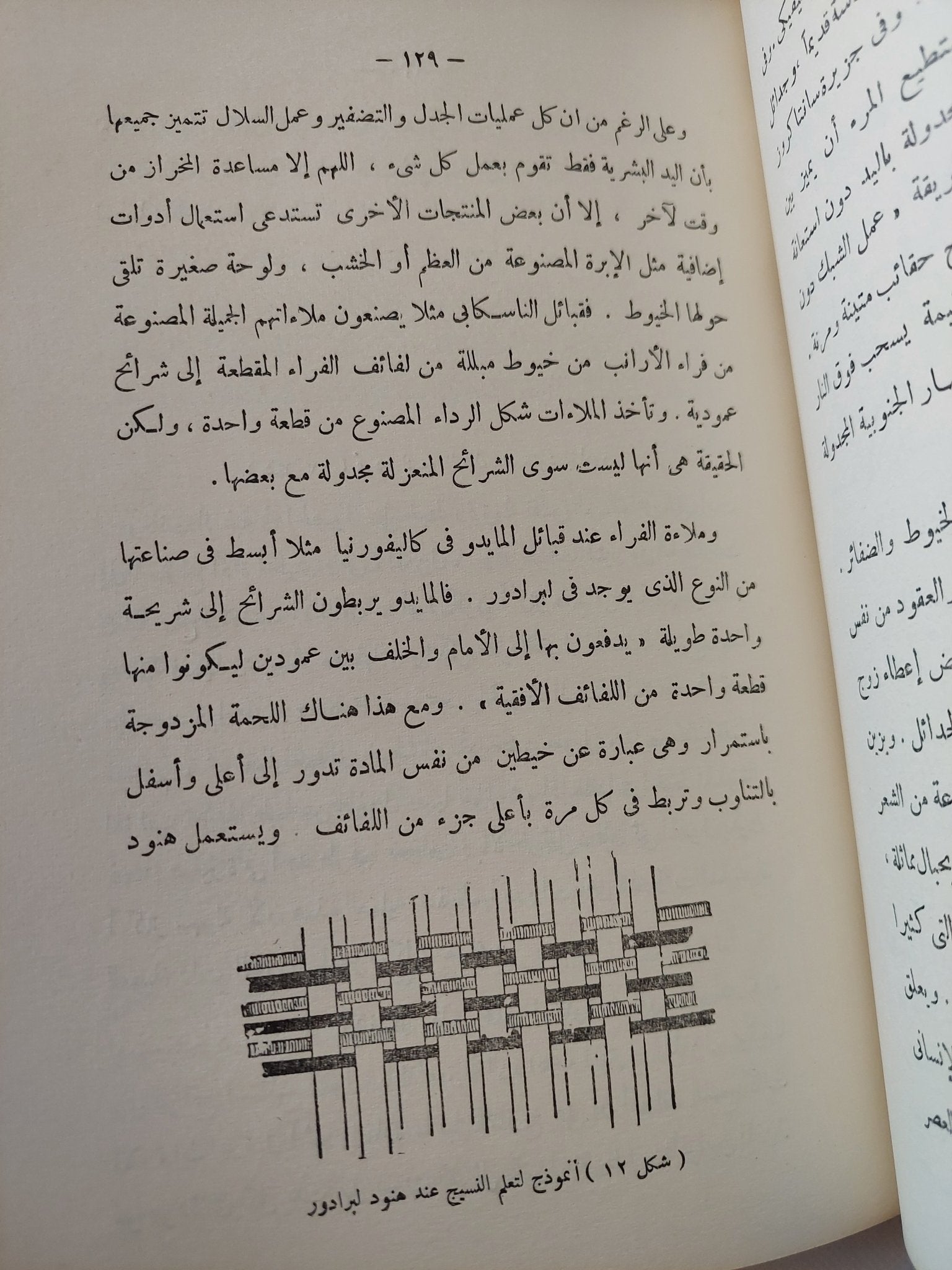 أصل الأشياء / جولياس لبس - متجر كتب مصر - المكتبة الفلسفية