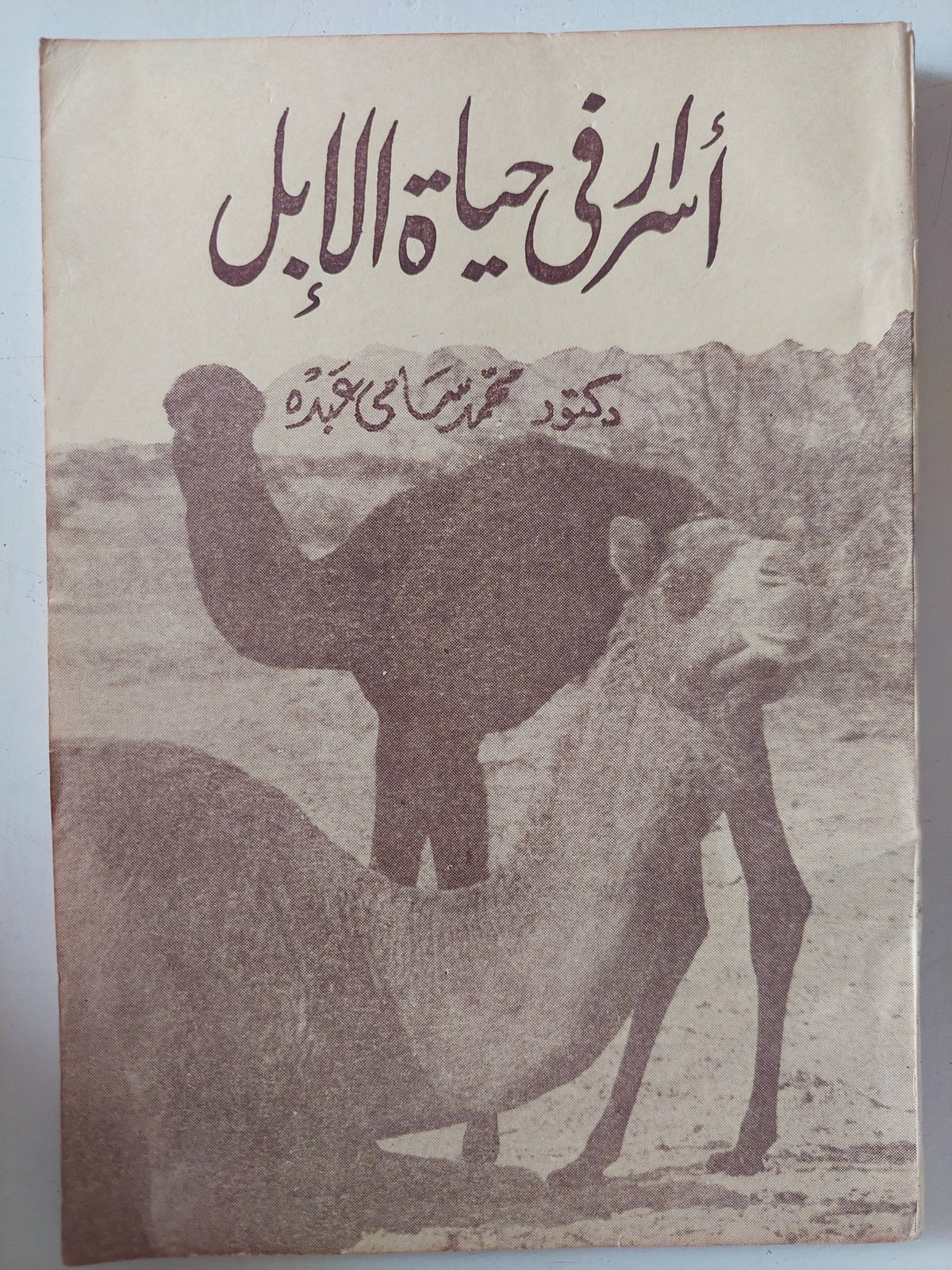 أسرار فى حياة الأبل / محمد سامى - متجر كتب مصر - متجر كتب مصر