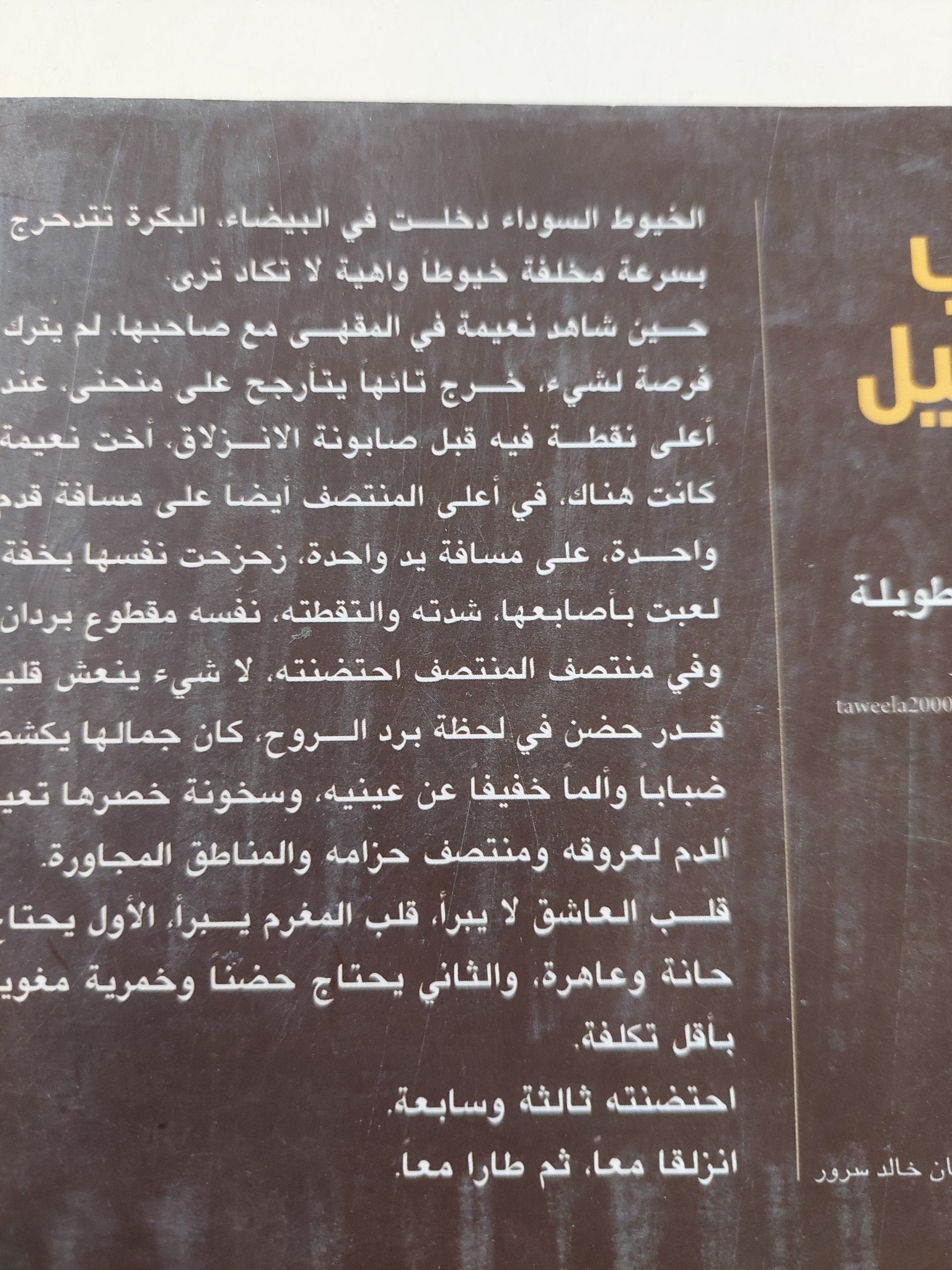 باب الليل / وحيد الطويلة - متجر كتب مصر - المكتبة الفلسفية