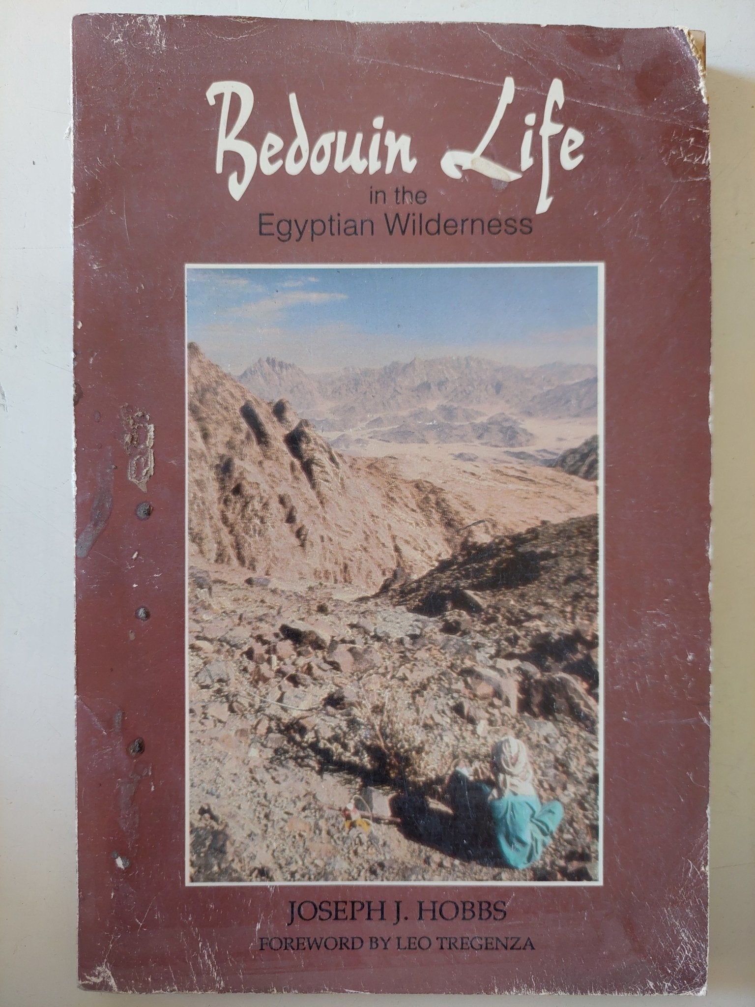 Bedouin life in the Egyptian Wilderness / Joseph Hobbs - متجر كتب مصر - متجر كتب مصر