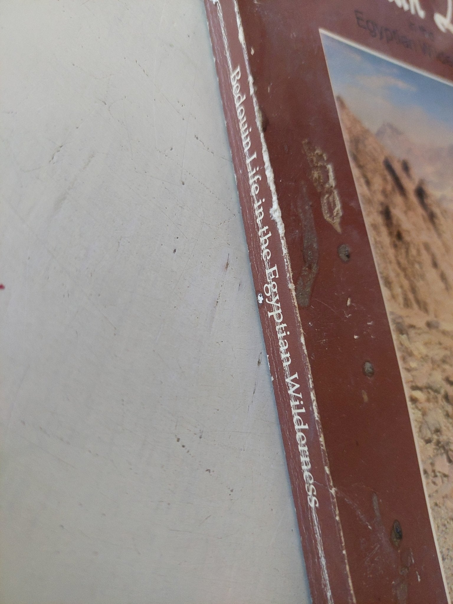 Bedouin life in the Egyptian Wilderness / Joseph Hobbs - متجر كتب مصر - متجر كتب مصر