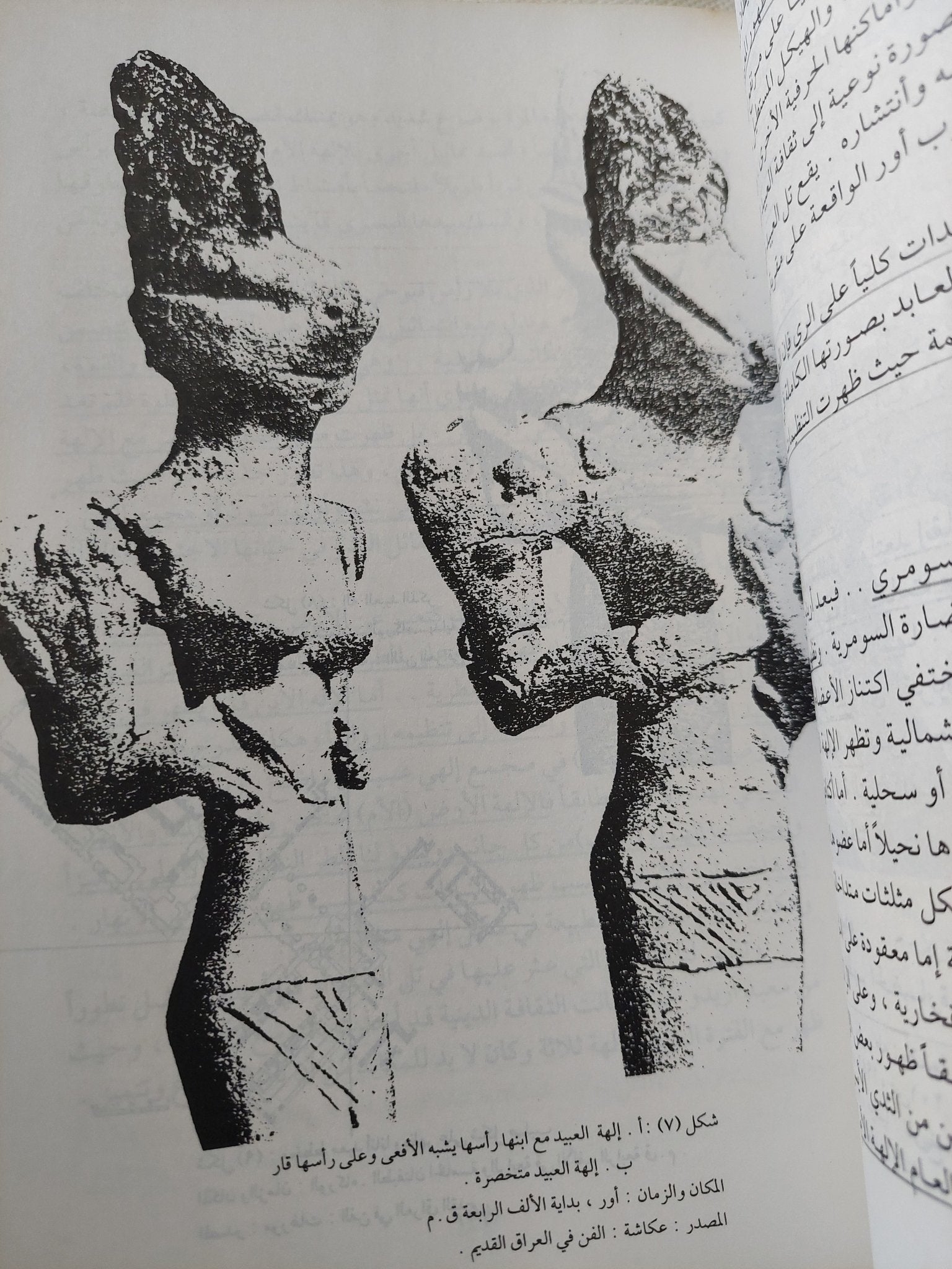 بخور الالهة / خزعل الماجدى - متجر كتب مصر - المكتبة الفلسفية