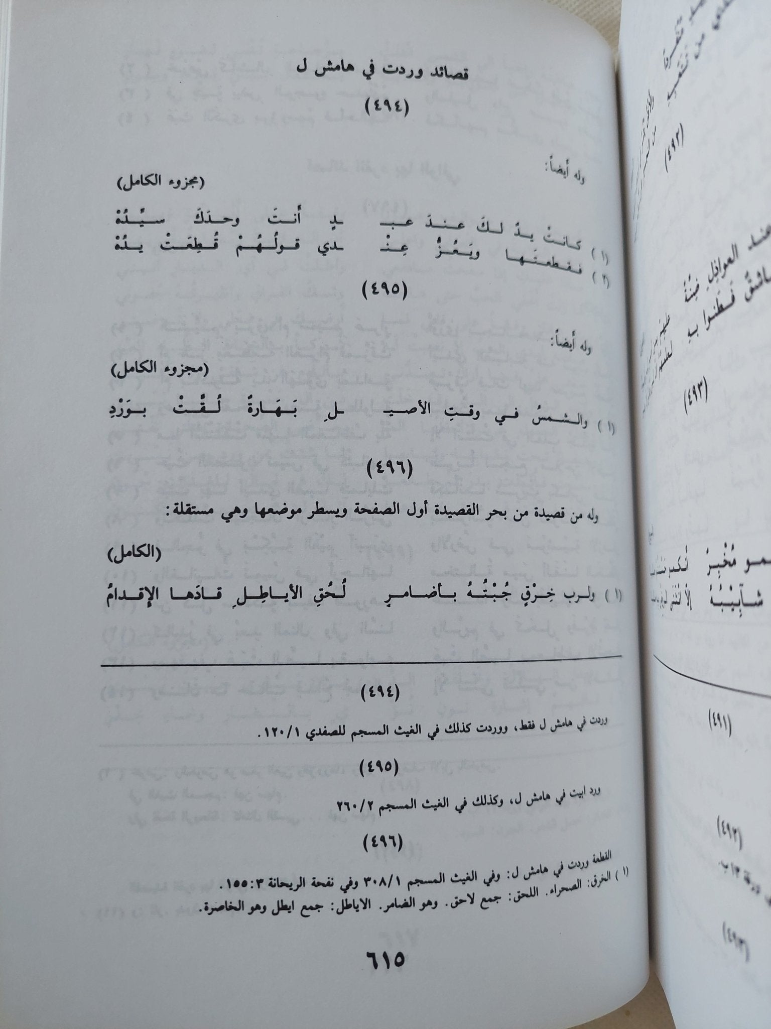 ديوان ابن قلاقس - متجر كتب مصر - المكتبة الفلسفية