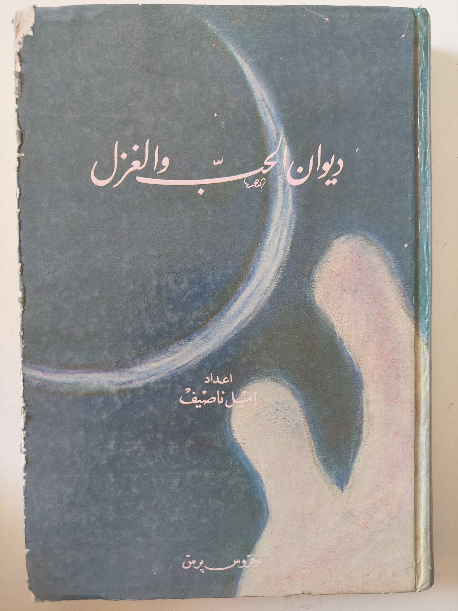 ديوان الحب والغزل / إميل ناصيف - هارد كفر - متجر كتب مصر - المكتبة الفلسفية