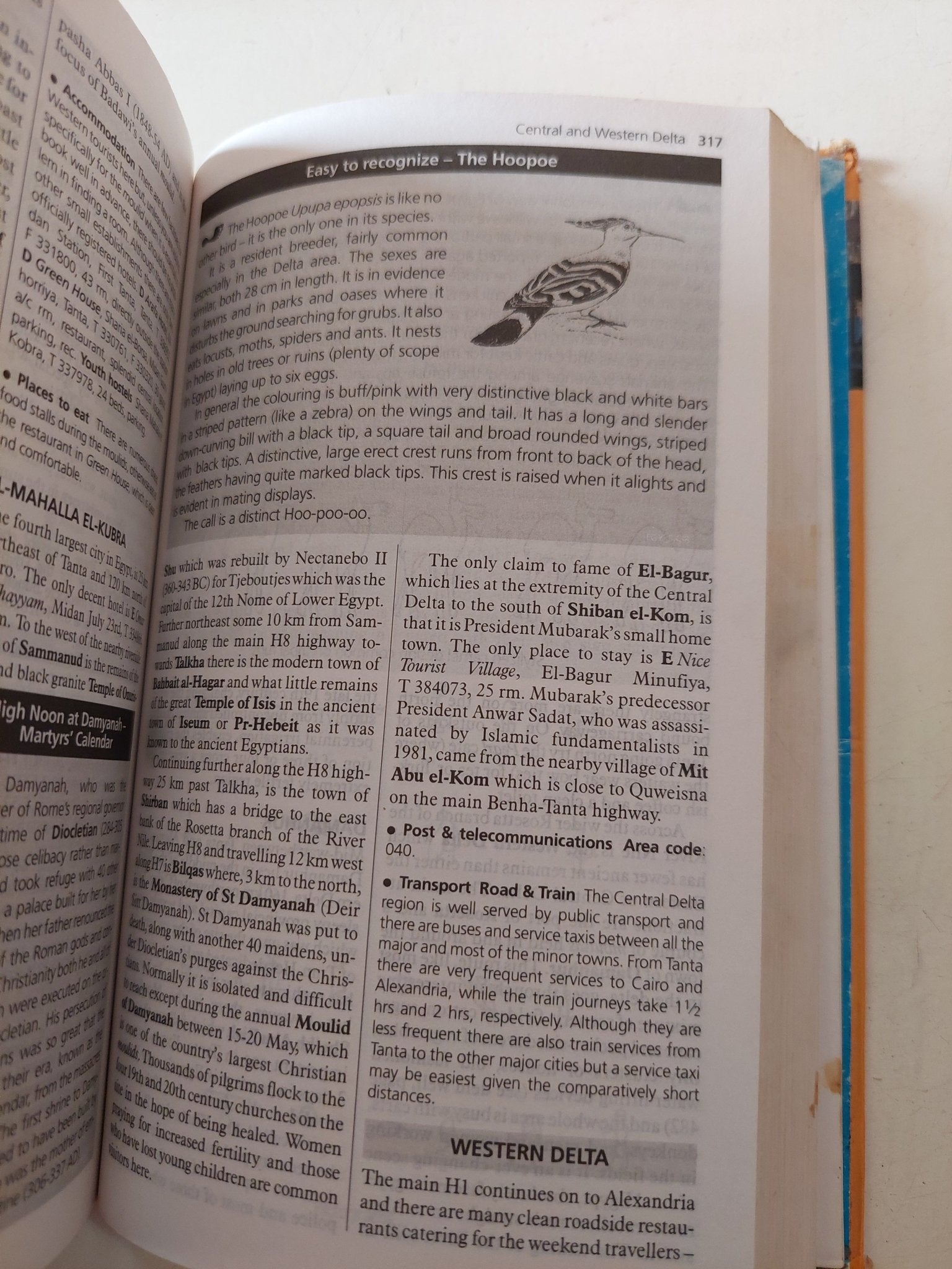 Egypt Handbook with Libya - هارد كفر ملحق بالصور - متجر كتب مصر - متجر كتب مصر