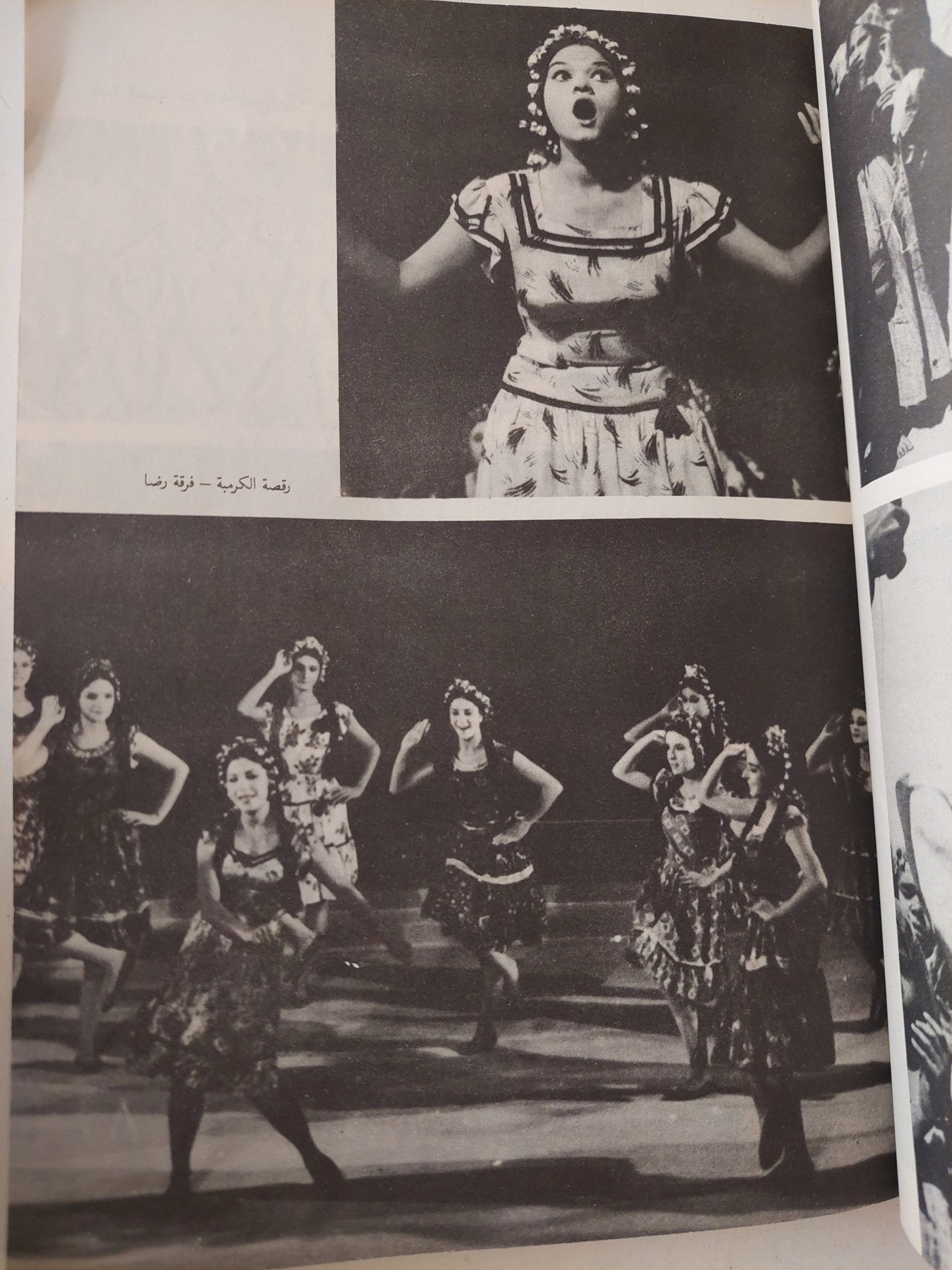 فى معبد الرقص / محمود رضا - ملحق بالصور - متجر كتب مصر - متجر كتب مصر