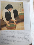 فلسفة الرؤية فى التأثيرية والفن الحديث / جمال قطب - قطع كبير ملحق بالصور هارد كفر - متجر كتب مصر - متجر كتب مصر