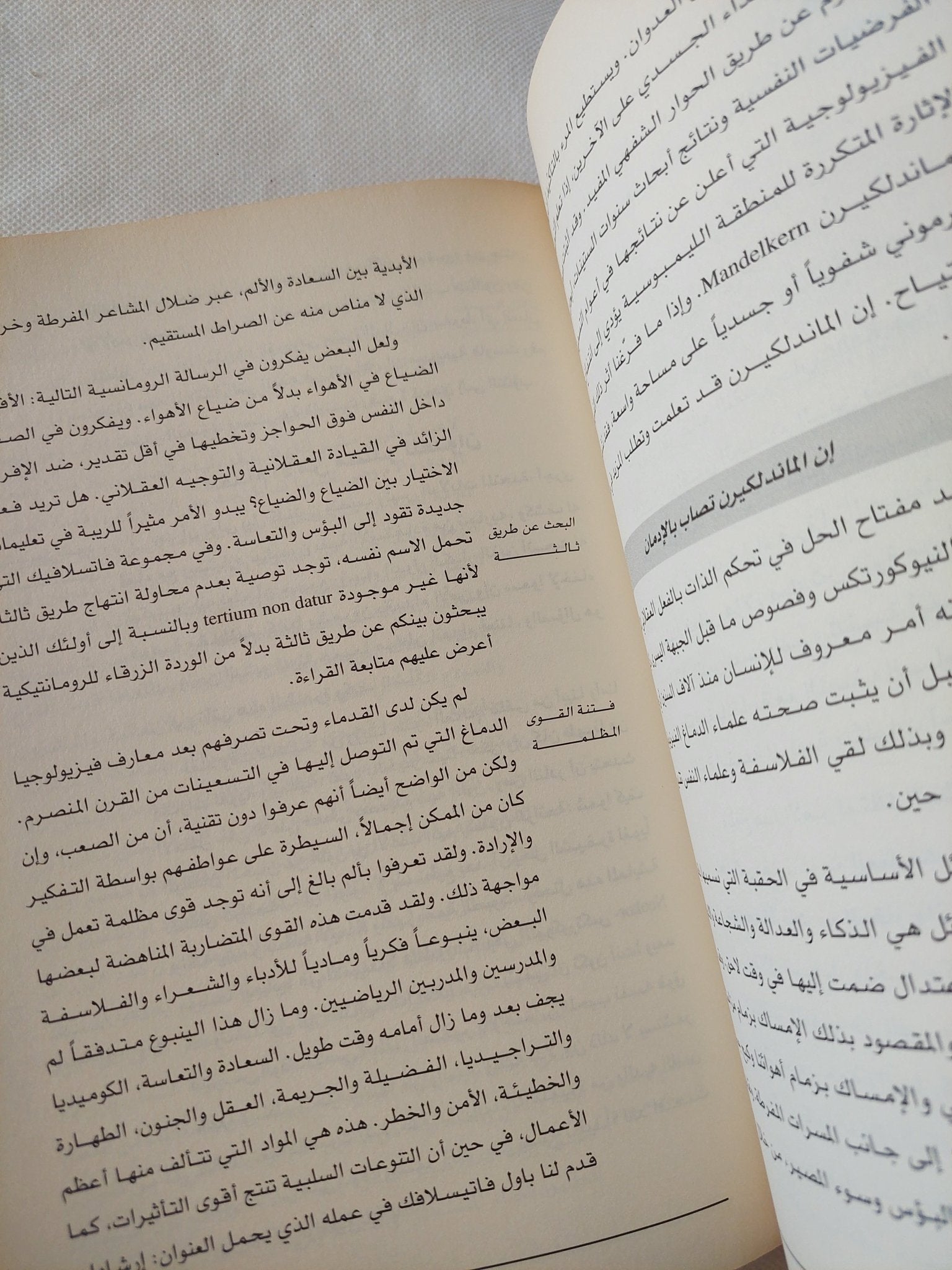 فن العدوان / بيتر غروبر - هارد كفر - متجر كتب مصر - المكتبة الفلسفية