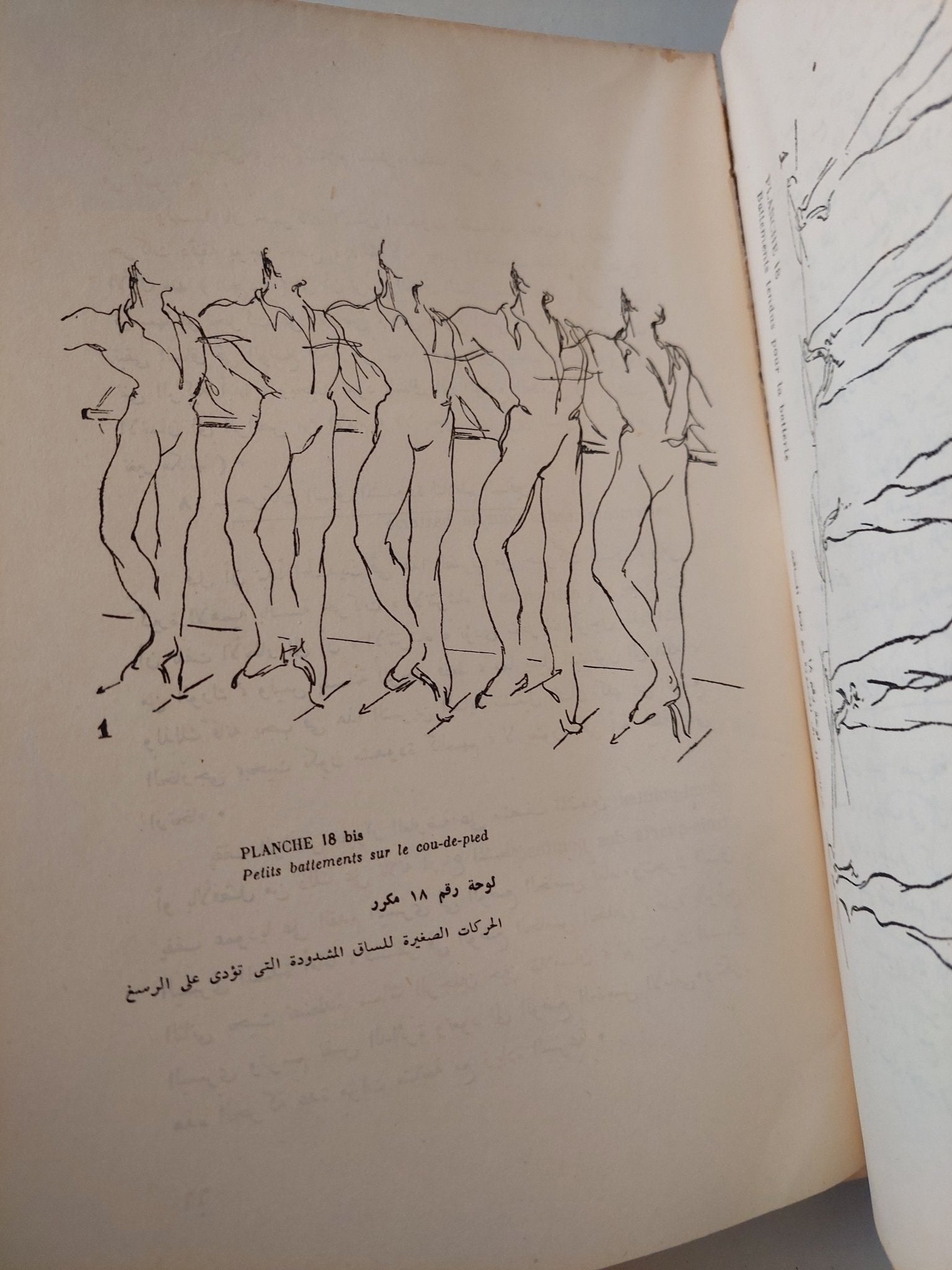 فن الرقص الأكاديمى / سيرج ليفار - متجر كتب مصر - متجر كتب مصر