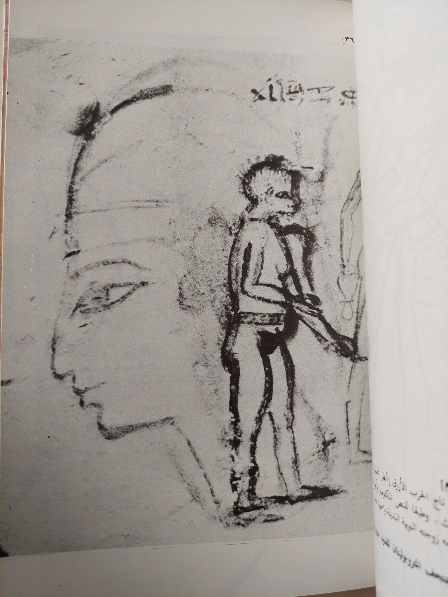 فن الرسم عند قدماء المصريين / وليم بيك - هارد كفر ملحق بالصور - متجر كتب مصر - متجر كتب مصر