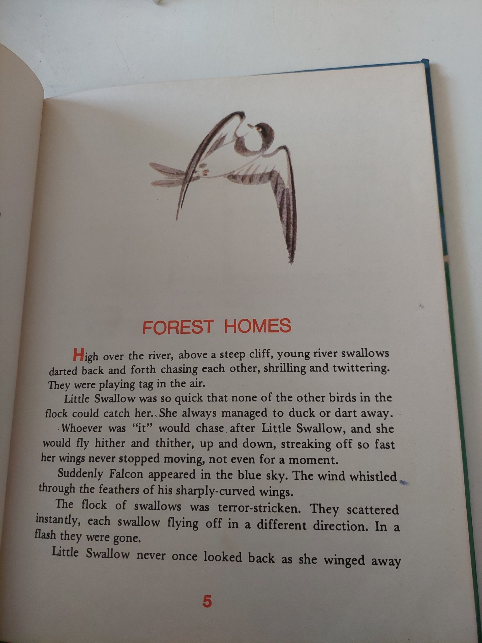 Forest homes / Vitaly Bianki - قطع كبير هارد كفر ملحق بالصور - متجر كتب مصر - متجر كتب مصر