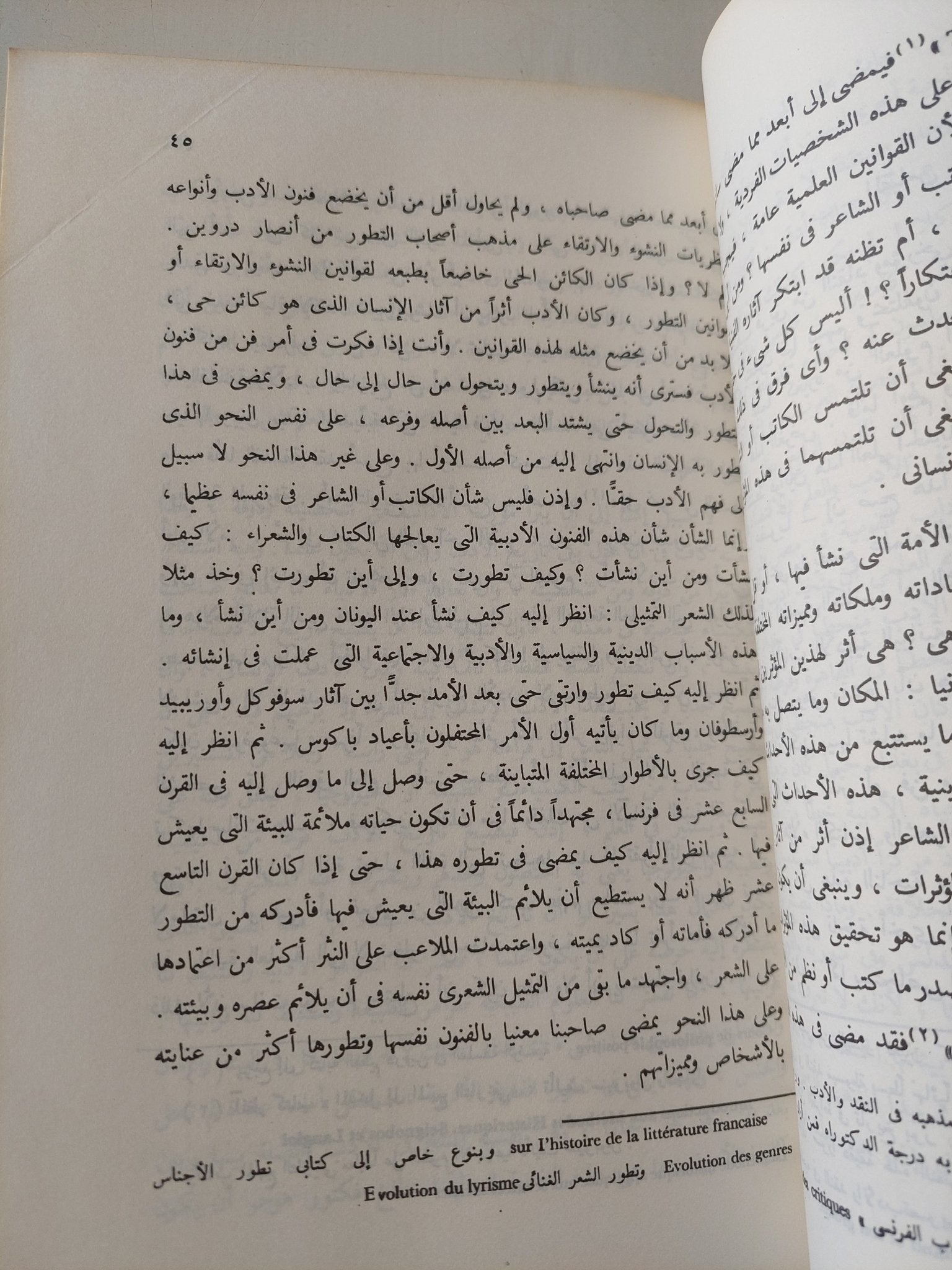 في الأدب الجاهلي / طه حسين + ملحق معه قرار النيابة في كتاب الشعر الجاهلي / هارد كفر - متجر كتب مصر - متجر كتب مصر