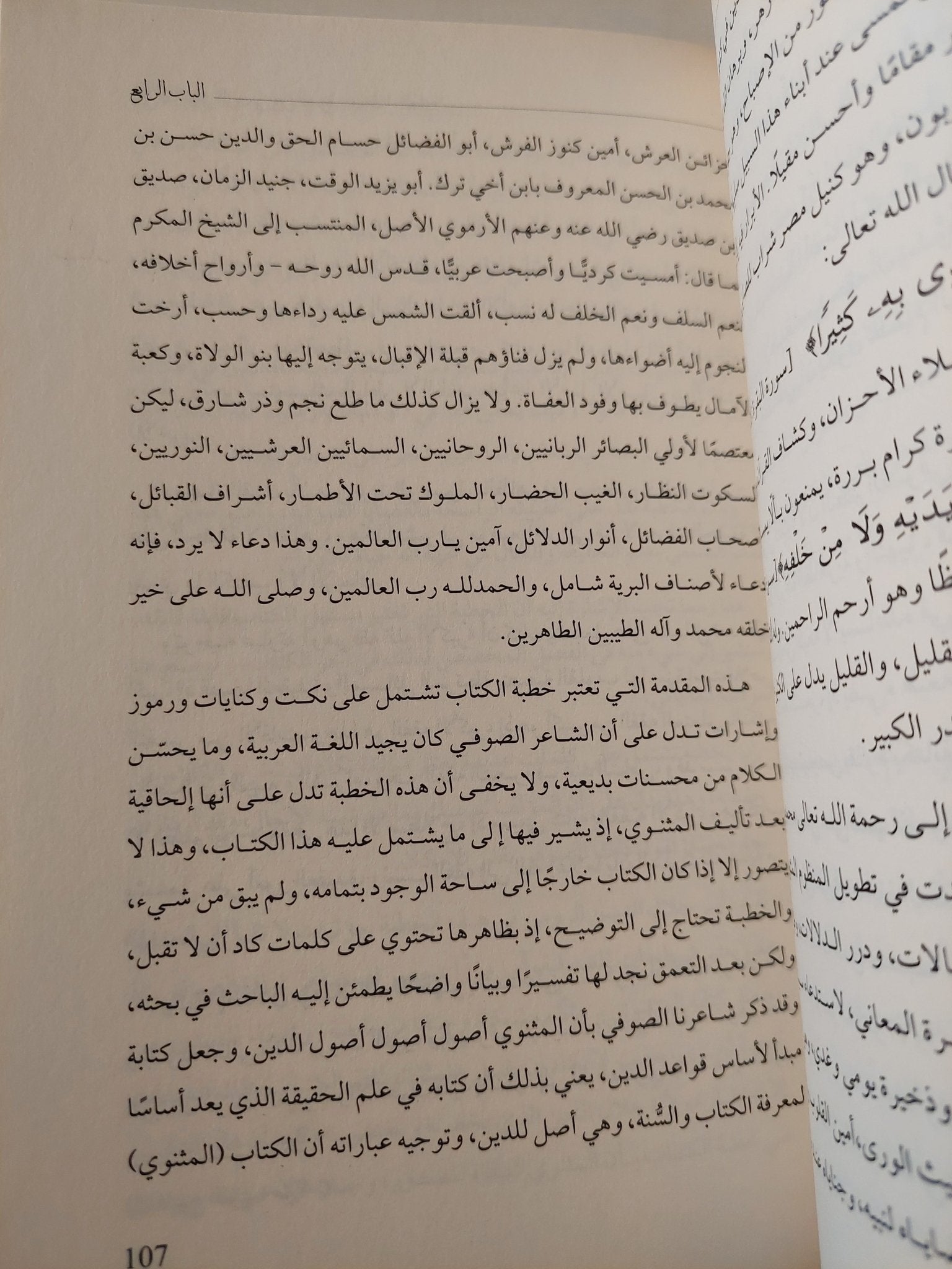 جلال الدين الرومى بين الصوفية وعلماء الكلام / عناية الله إبلاغ الأفغانى - متجر كتب مصر - المكتبة الفلسفية