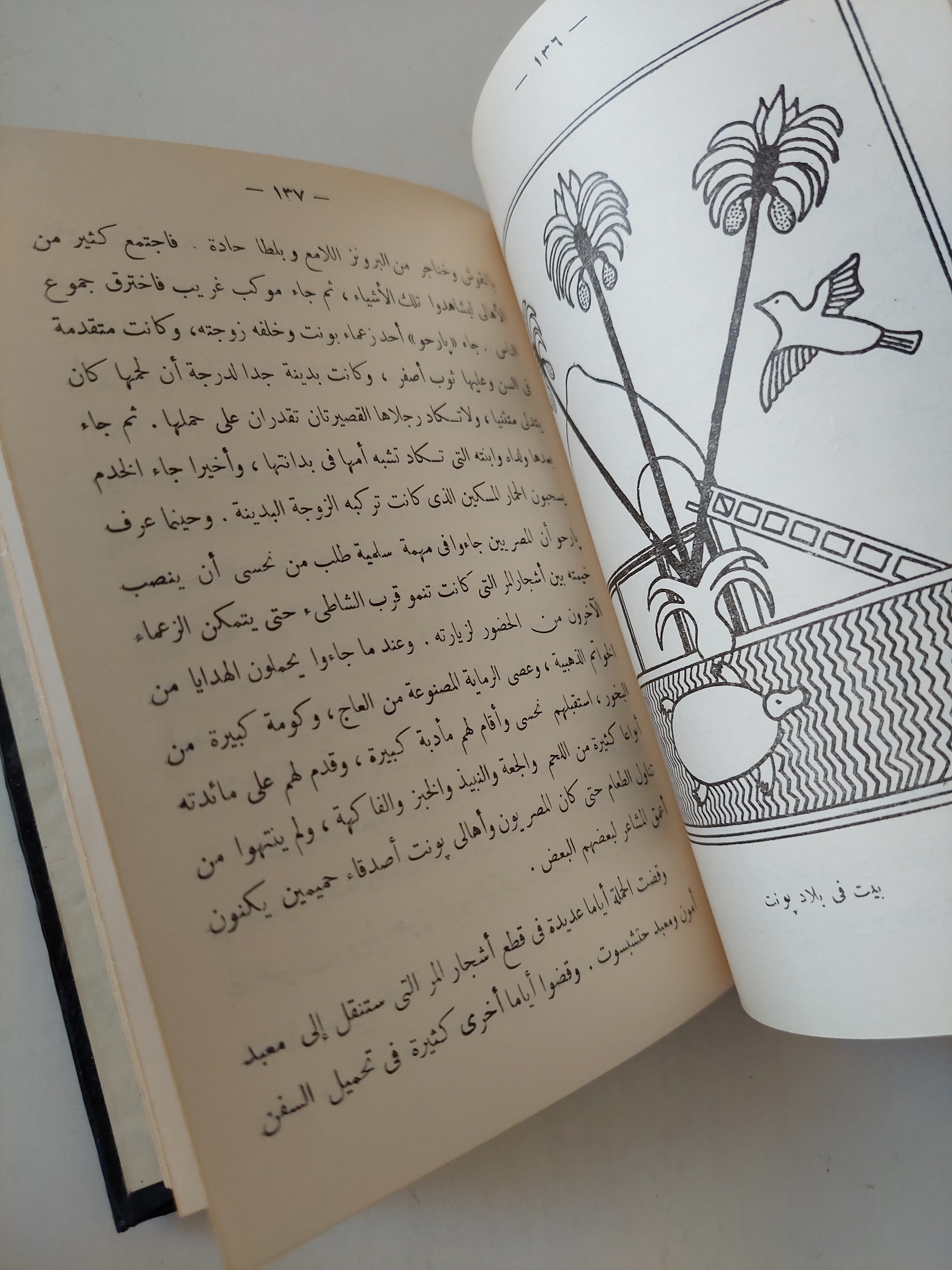 هبه النيل .. تاريخ مصر القديمة / أنيدلا مونت ميدوكروفت - هارد كفر - متجر كتب مصر - متجر كتب مصر