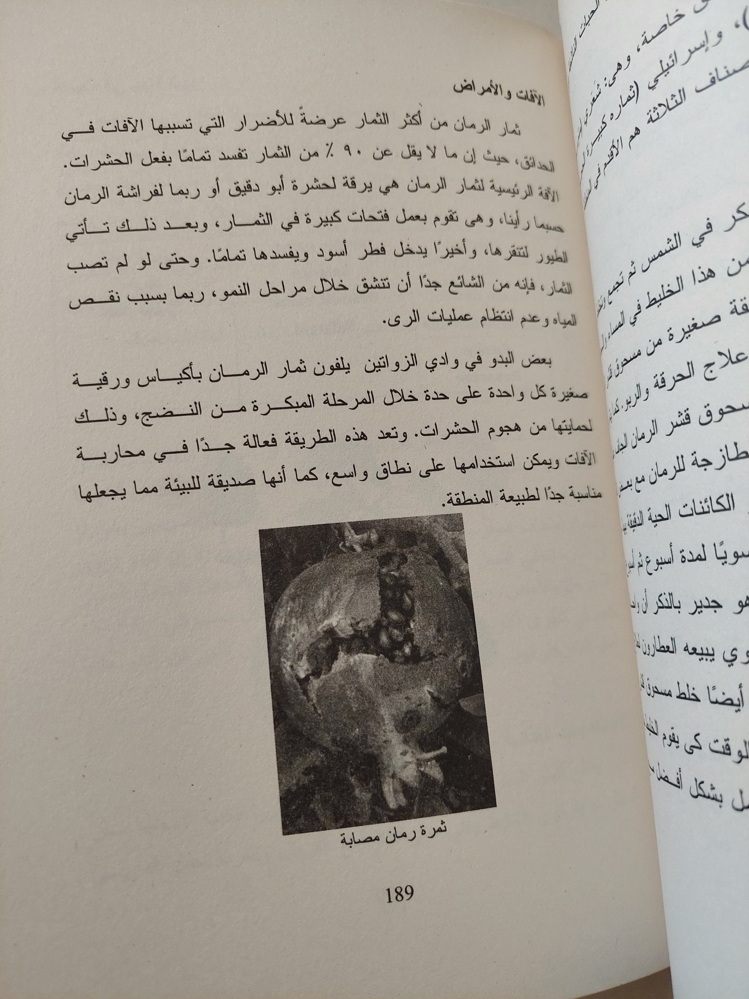 حدائق الأراضى المقدسة .. التراث البدوى والتاريخ الطبيعى فى جبال سيناء / سامى زلط وفرانسيس جلبرت - ملحق بالصور - متجر كتب مصر - متجر كتب مصر