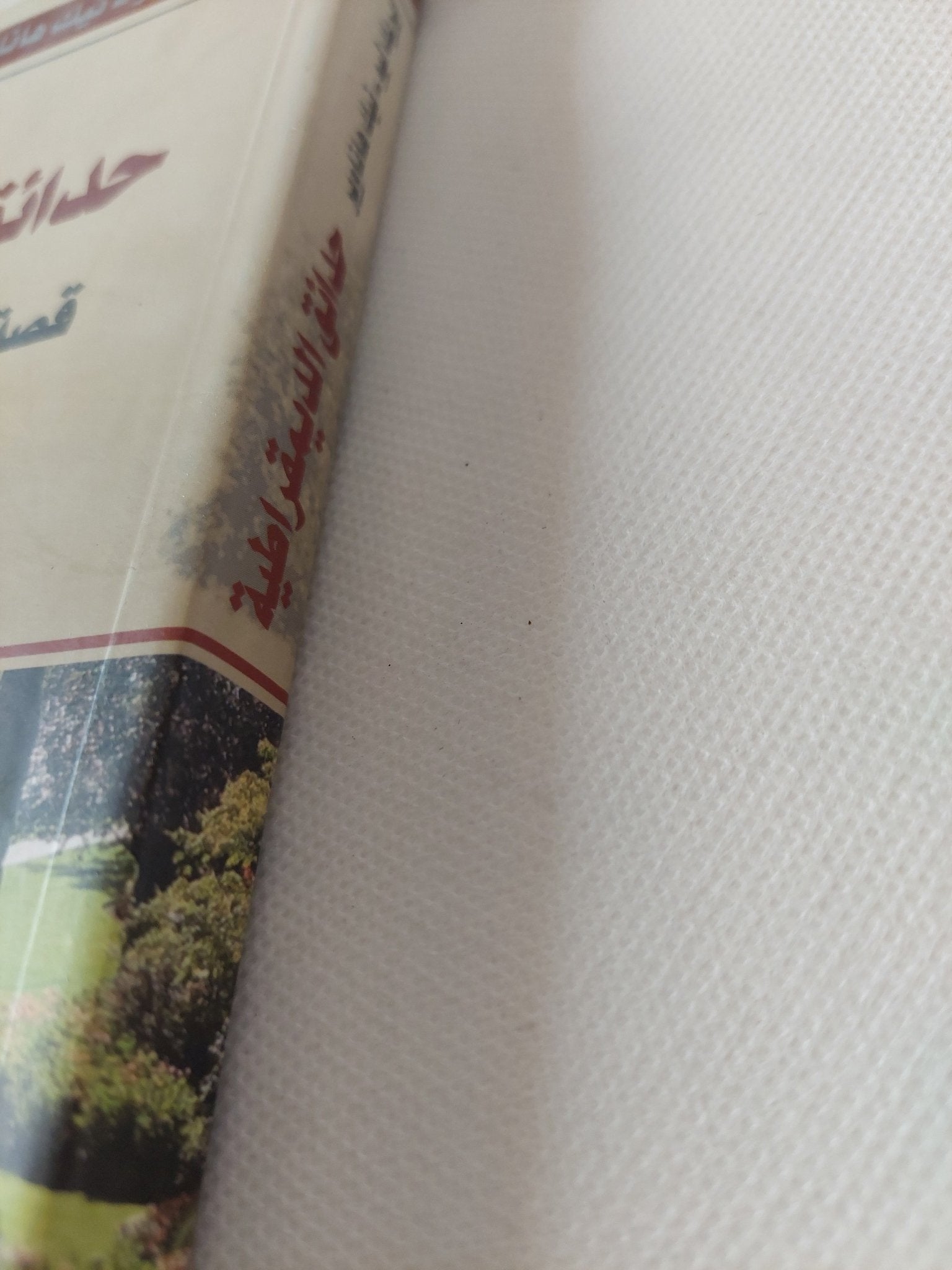 حدائق الديمقراطية .. قصة أمريكية جديدة عن المواطنة والإقتصاد ودور الحكومة / ايريك ليو ونيك هاناوير - متجر كتب مصر - المكتبة الفلسفية
