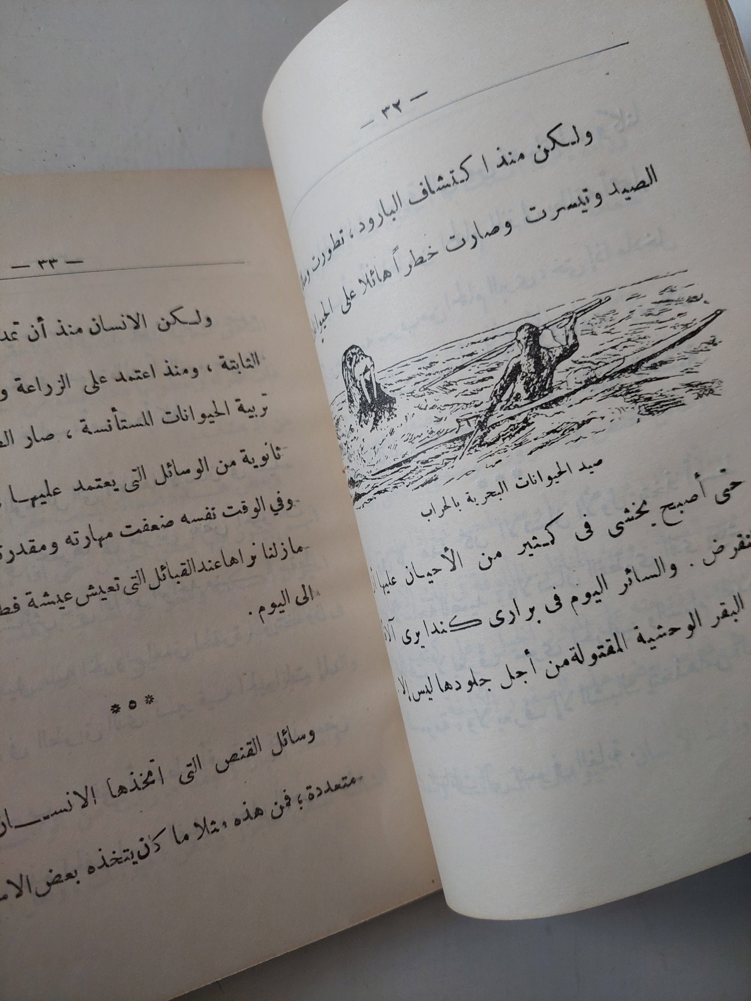 حكاية الطعام / أحمد عطية الله - هارد كفر - متجر كتب مصر - متجر كتب مصر