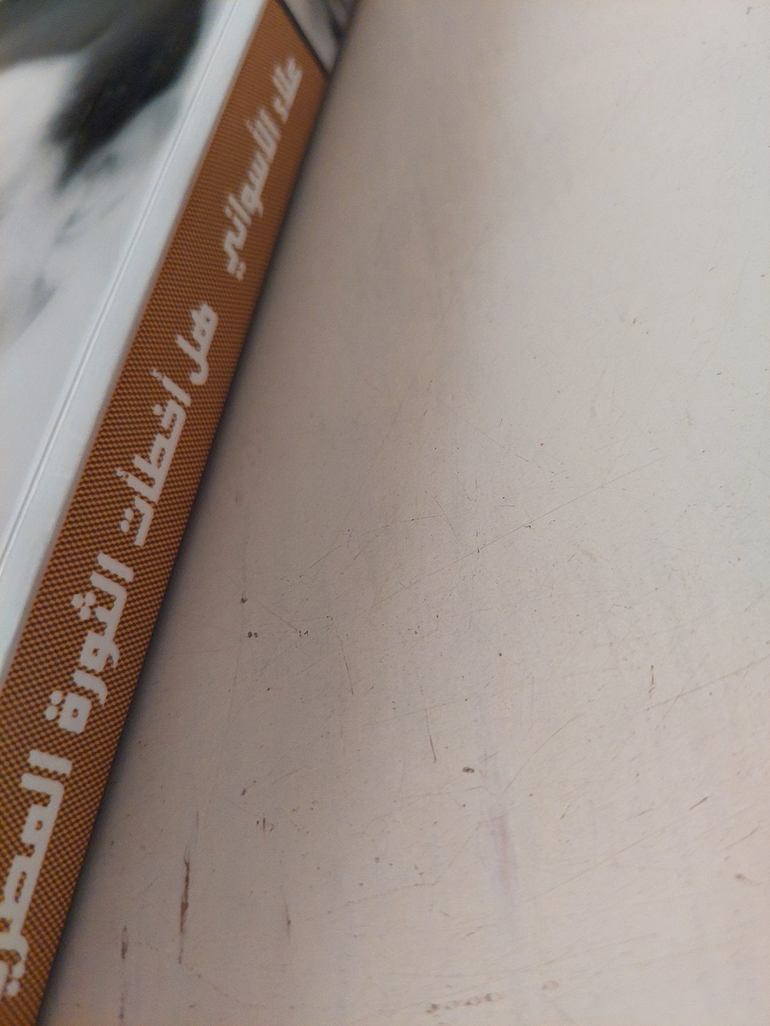 هل أخطأت الثورة المصرية ؟ / علاء الأسوانى - متجر كتب مصر - متجر كتب مصر